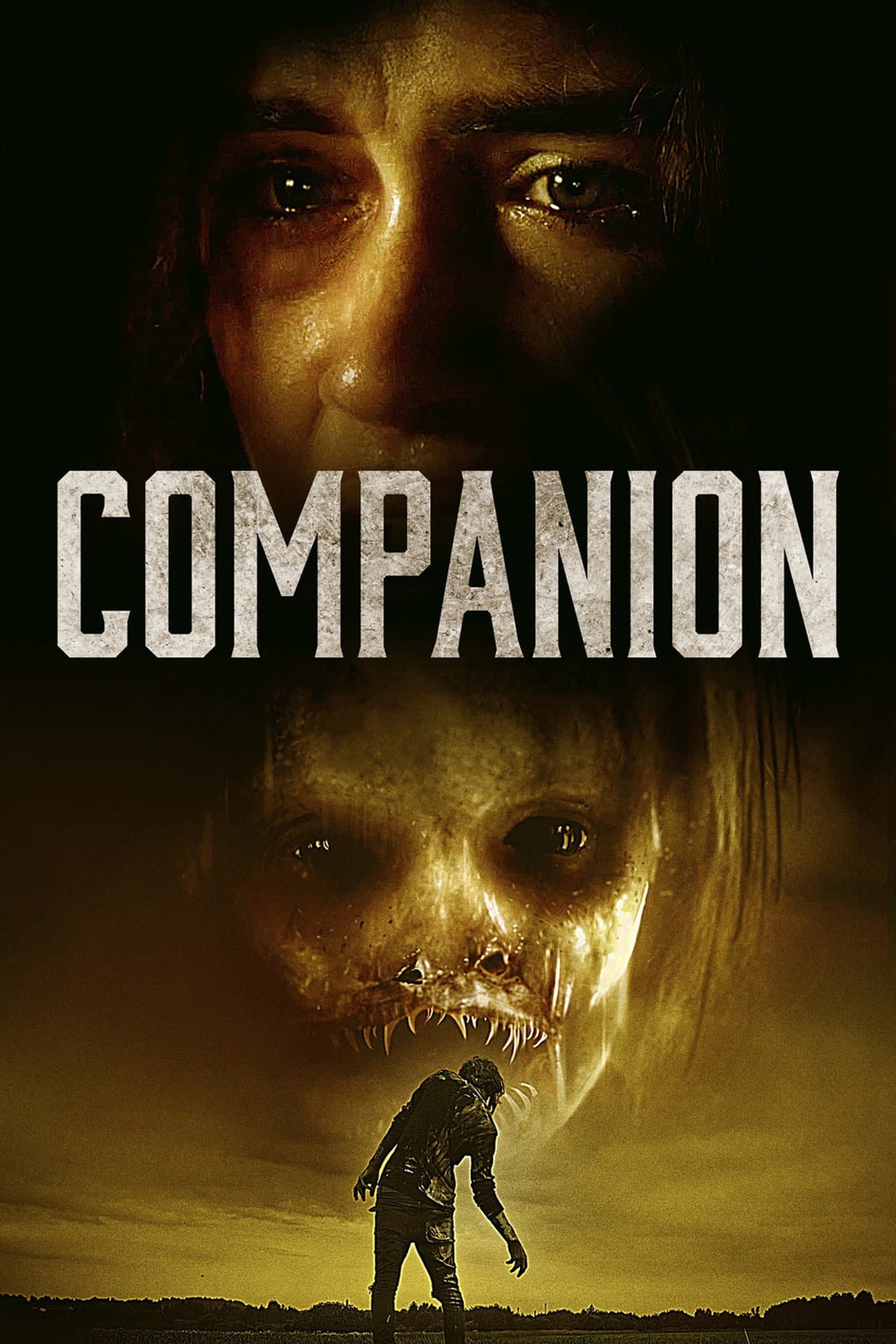 Companion preview 2