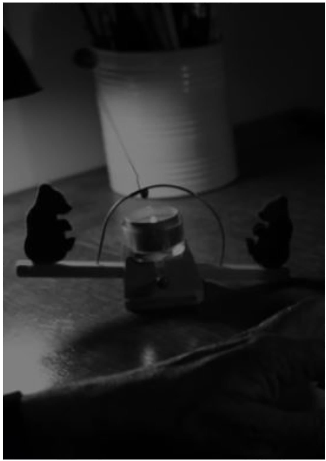 Veränderung preview 1