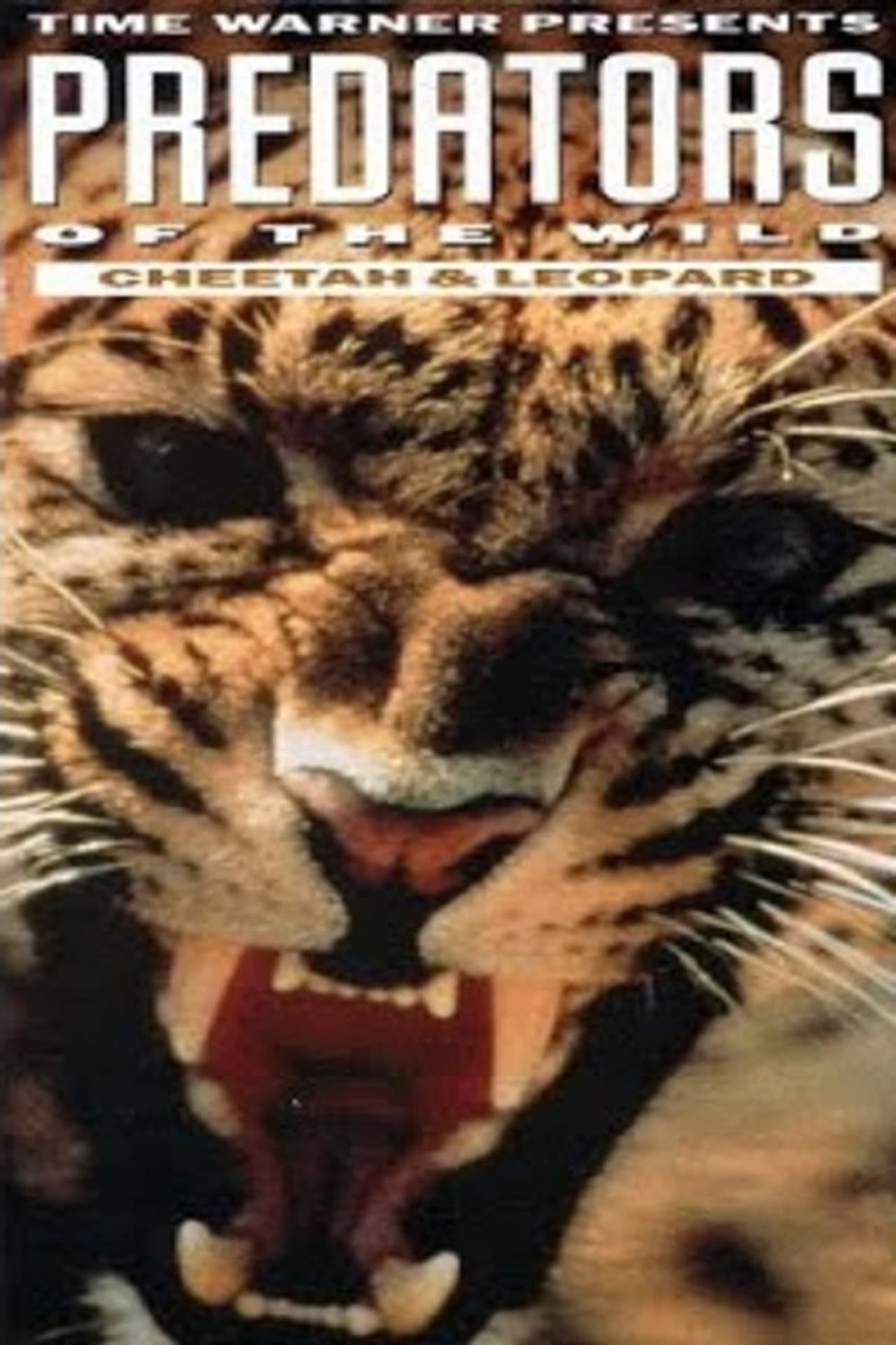 Predators of the Wild: Cheetah and Leopard preview 2