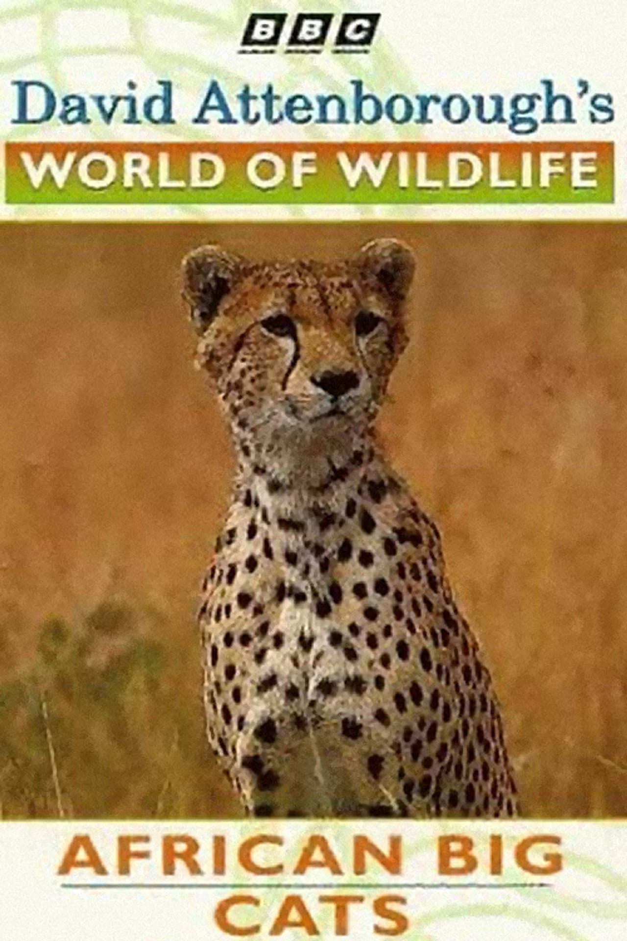 World of Wildlife: African Big Cats preview 1