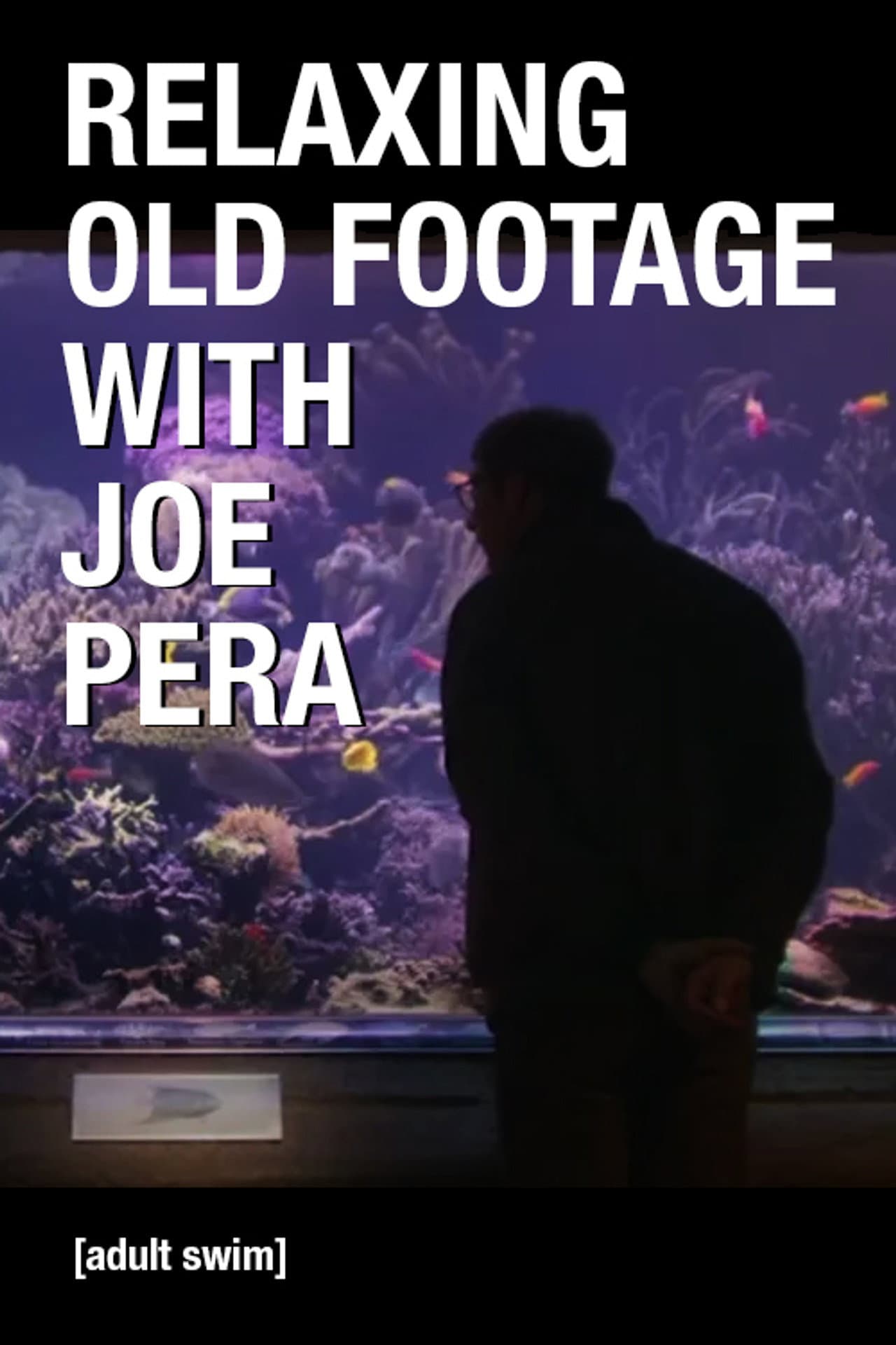 Relaxing Old Footage With Joe Pera preview 2