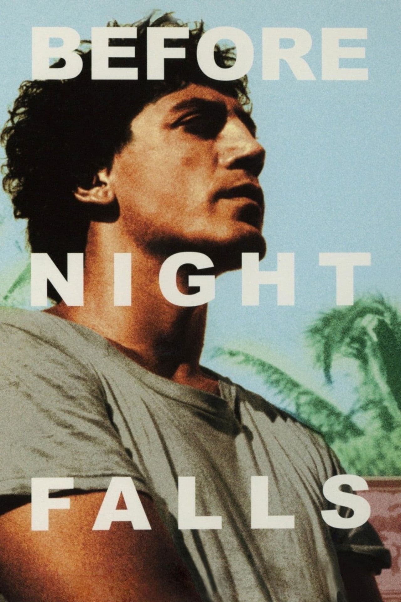 Before Night Falls preview 2