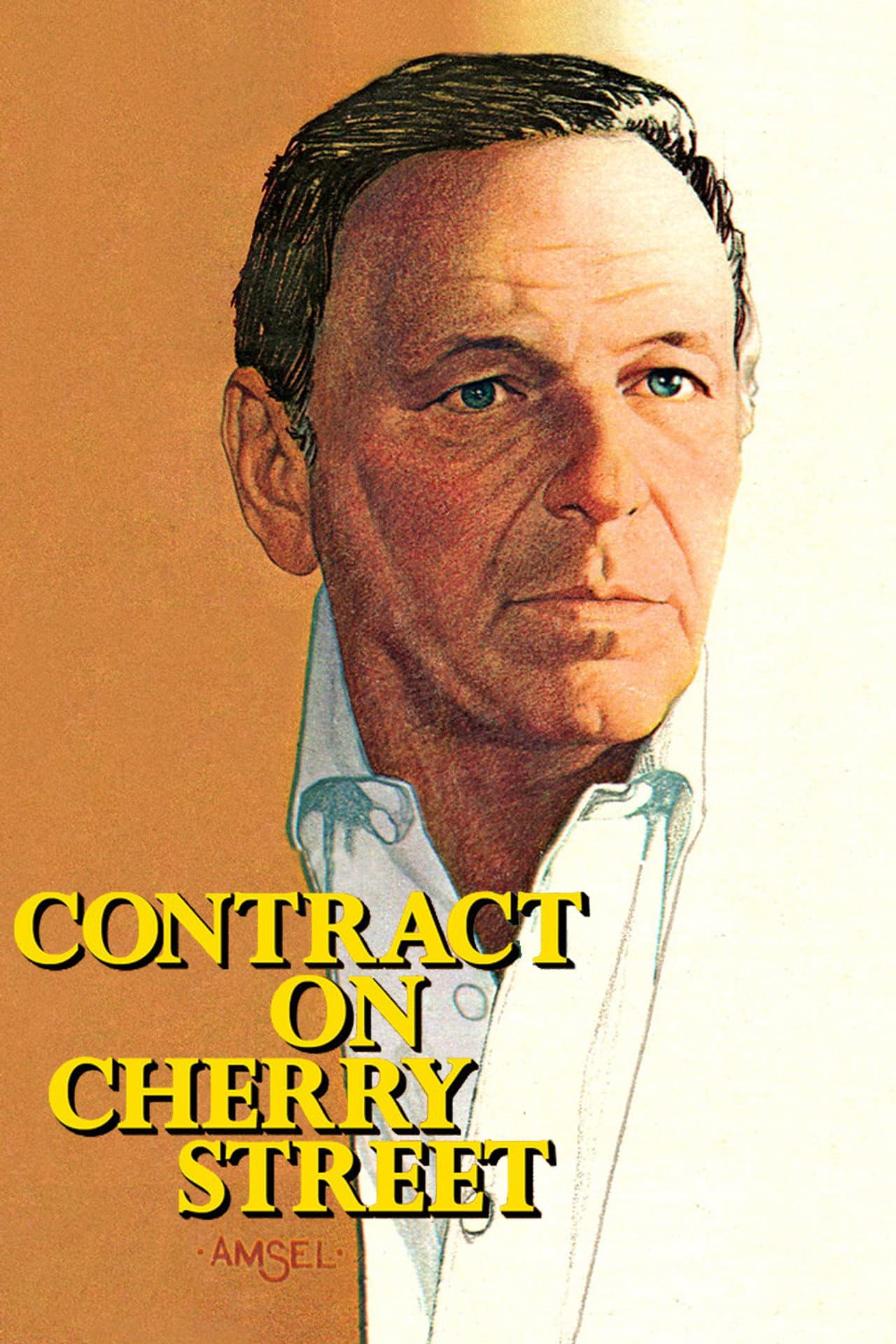 Contract on Cherry Street preview 2