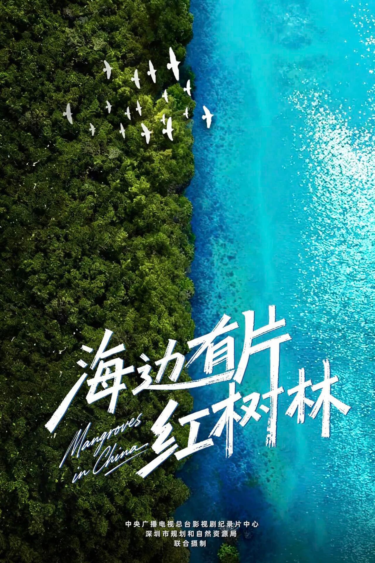 海边有片红树林 preview 2
