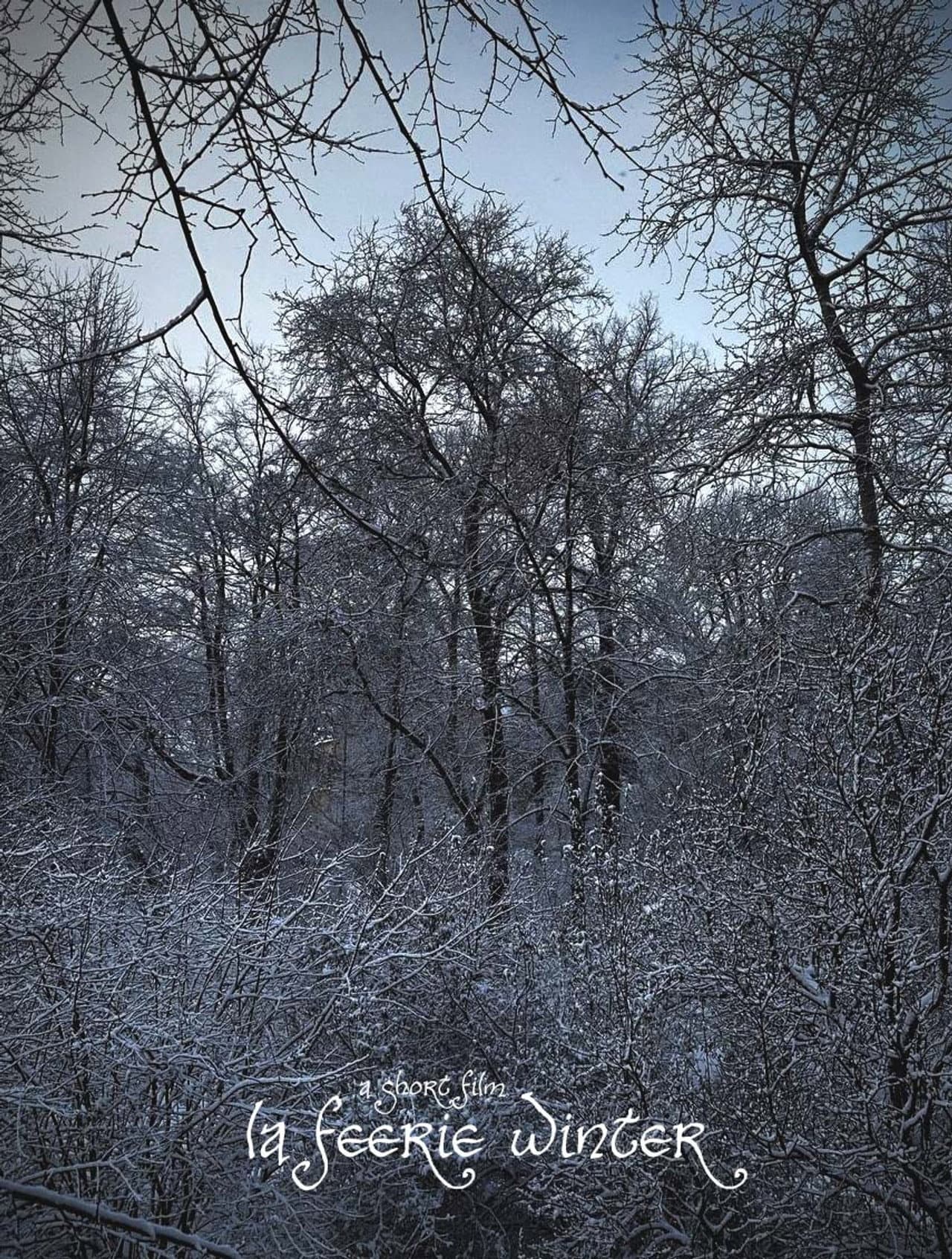 La Féerie Winter preview 2
