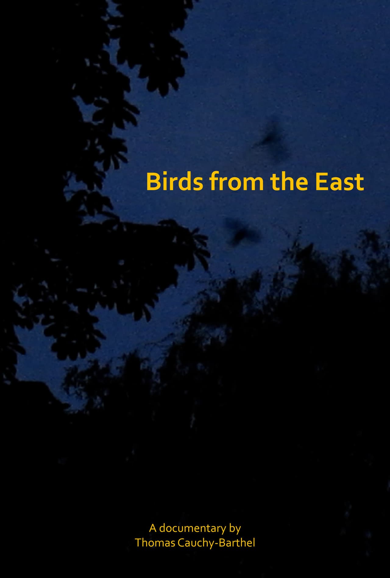 Les oiseaux de l'Est preview 2