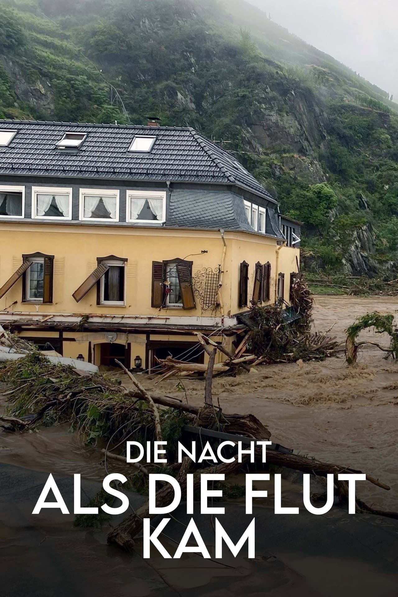 Die Nacht, als die Flut kam - Protokoll einer Klimakatastrophe preview 2