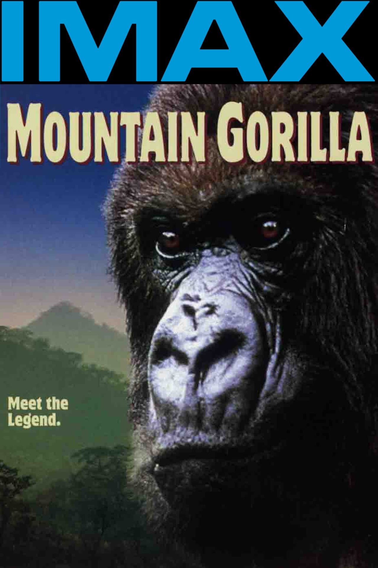 Mountain Gorilla preview 2