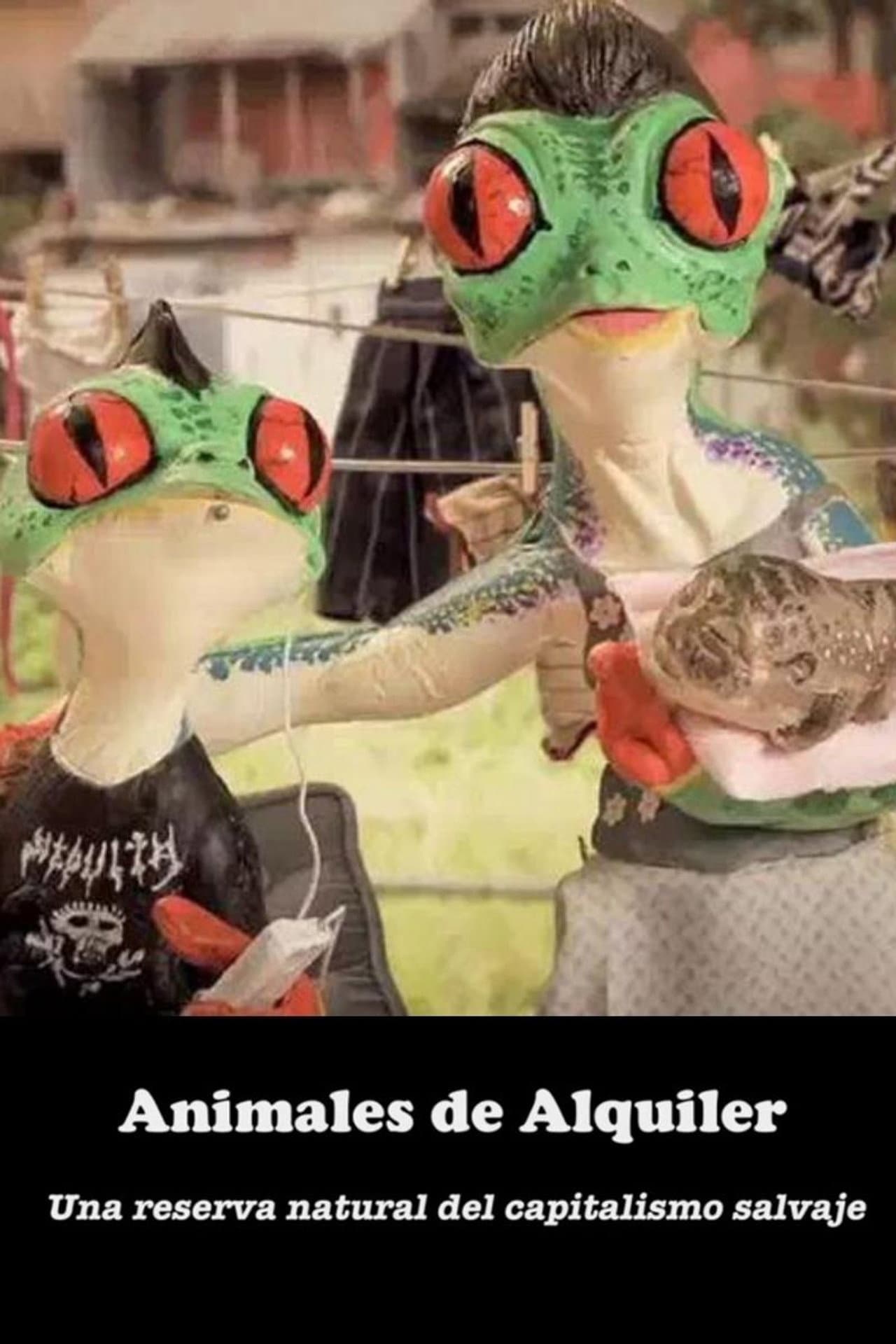 Animal Rental preview 1
