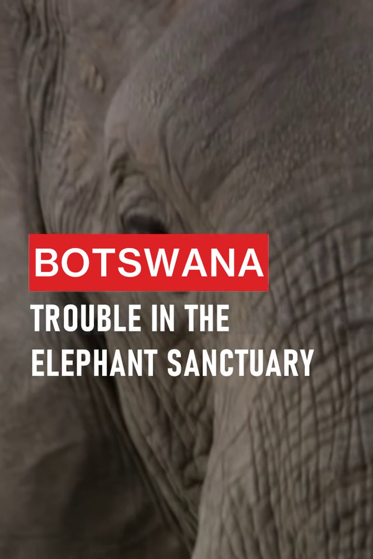 Botswana: Trouble in the Elephant Sanctuary preview 2