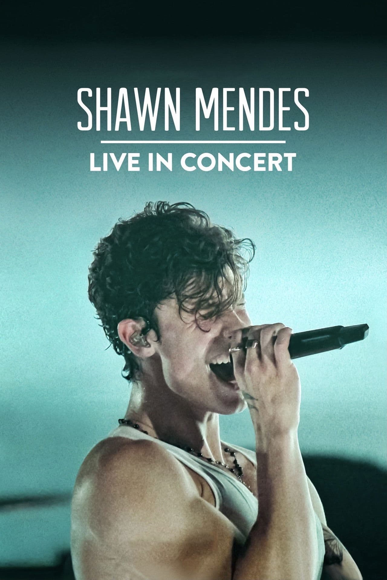Shawn Mendes: Live in Concert preview 2