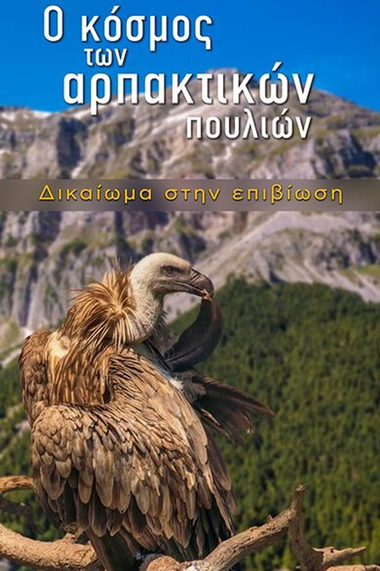 The World of Birds of Prey – Right to Survival preview 2