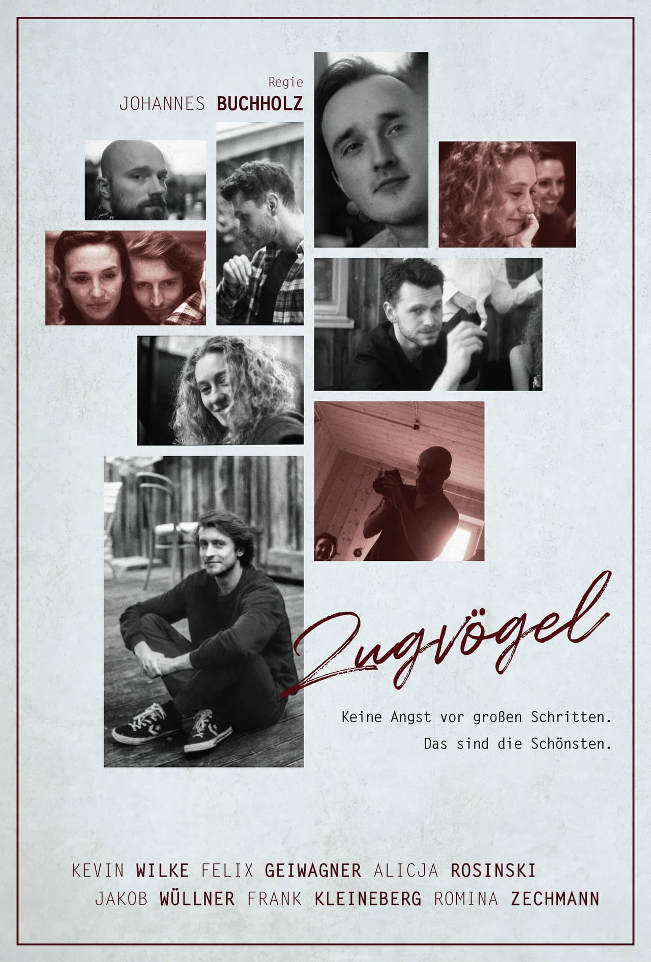 Zugvögel preview 2