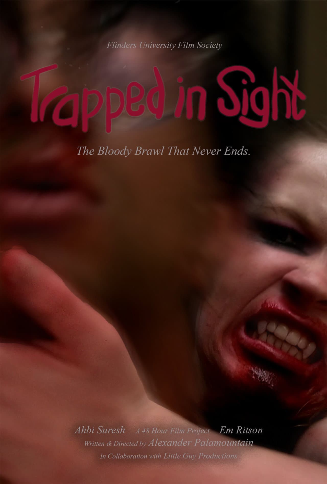 Trapped In Sight preview 2