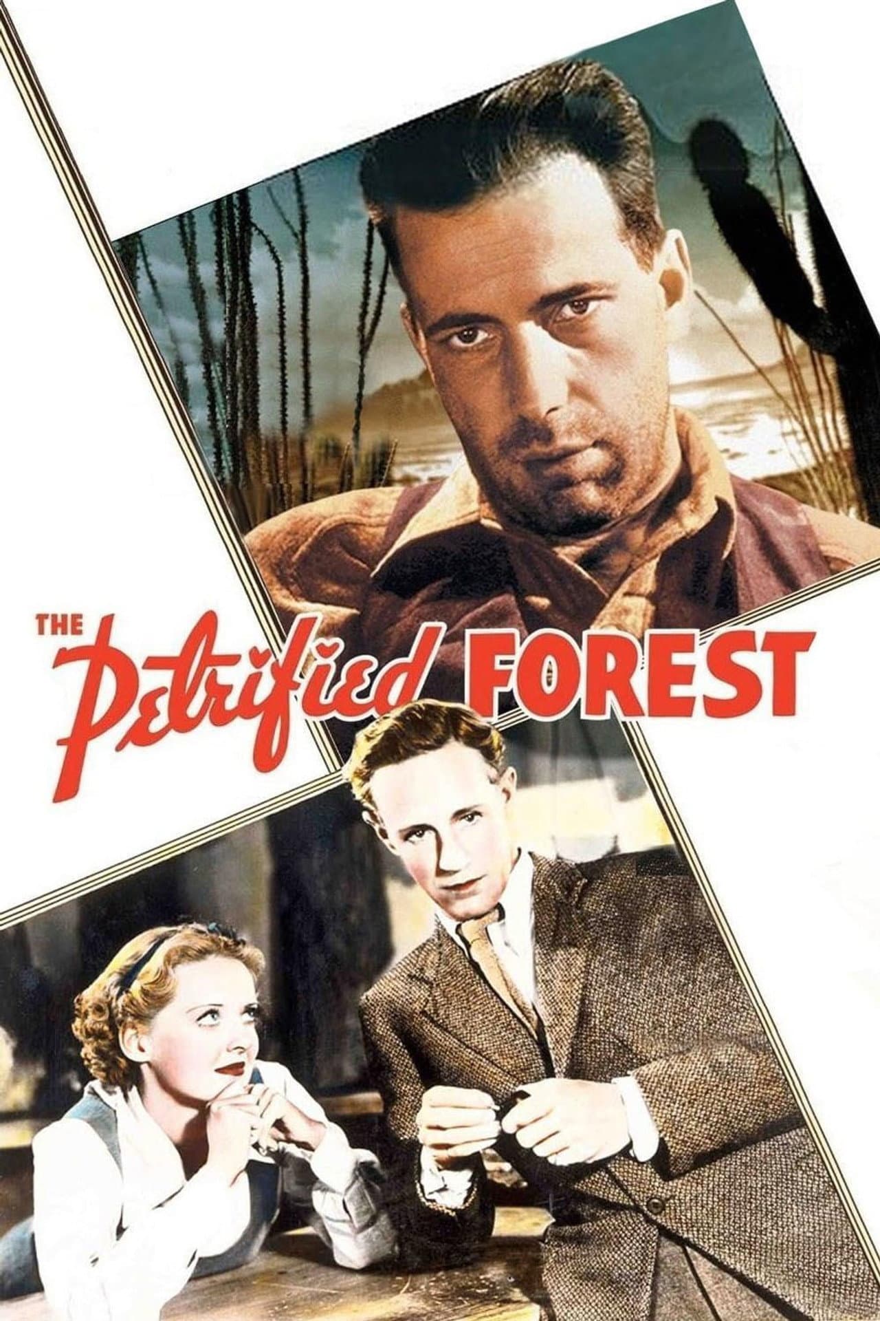 The Petrified Forest preview 2