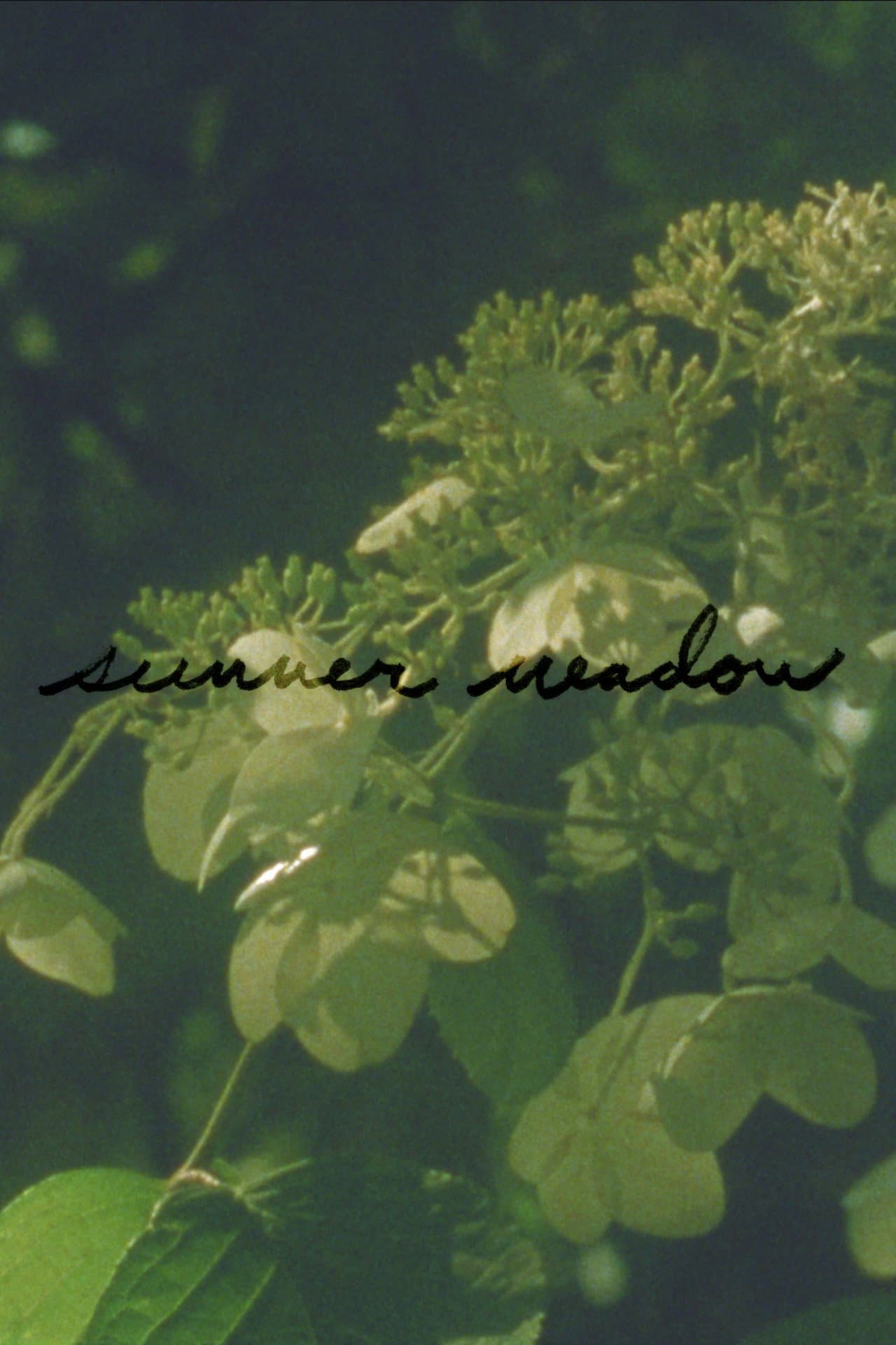 Summer Meadow preview 2