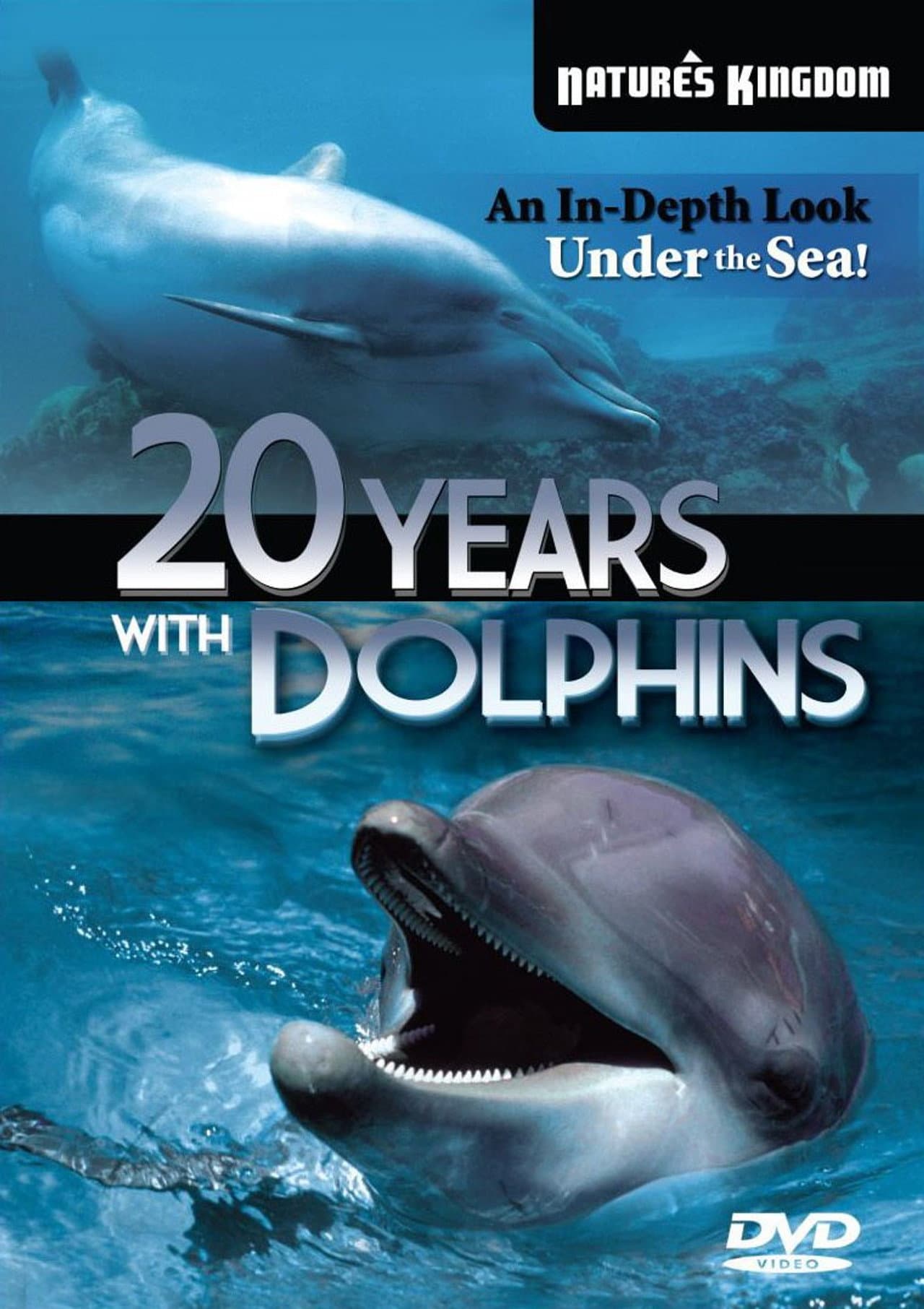 20 Years with the Dolphins preview 1