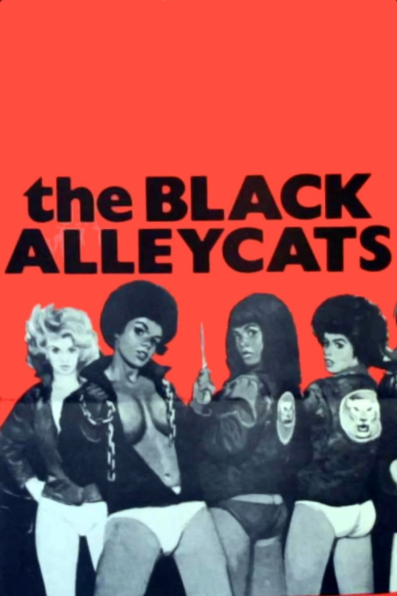The Black Alley Cats preview 2