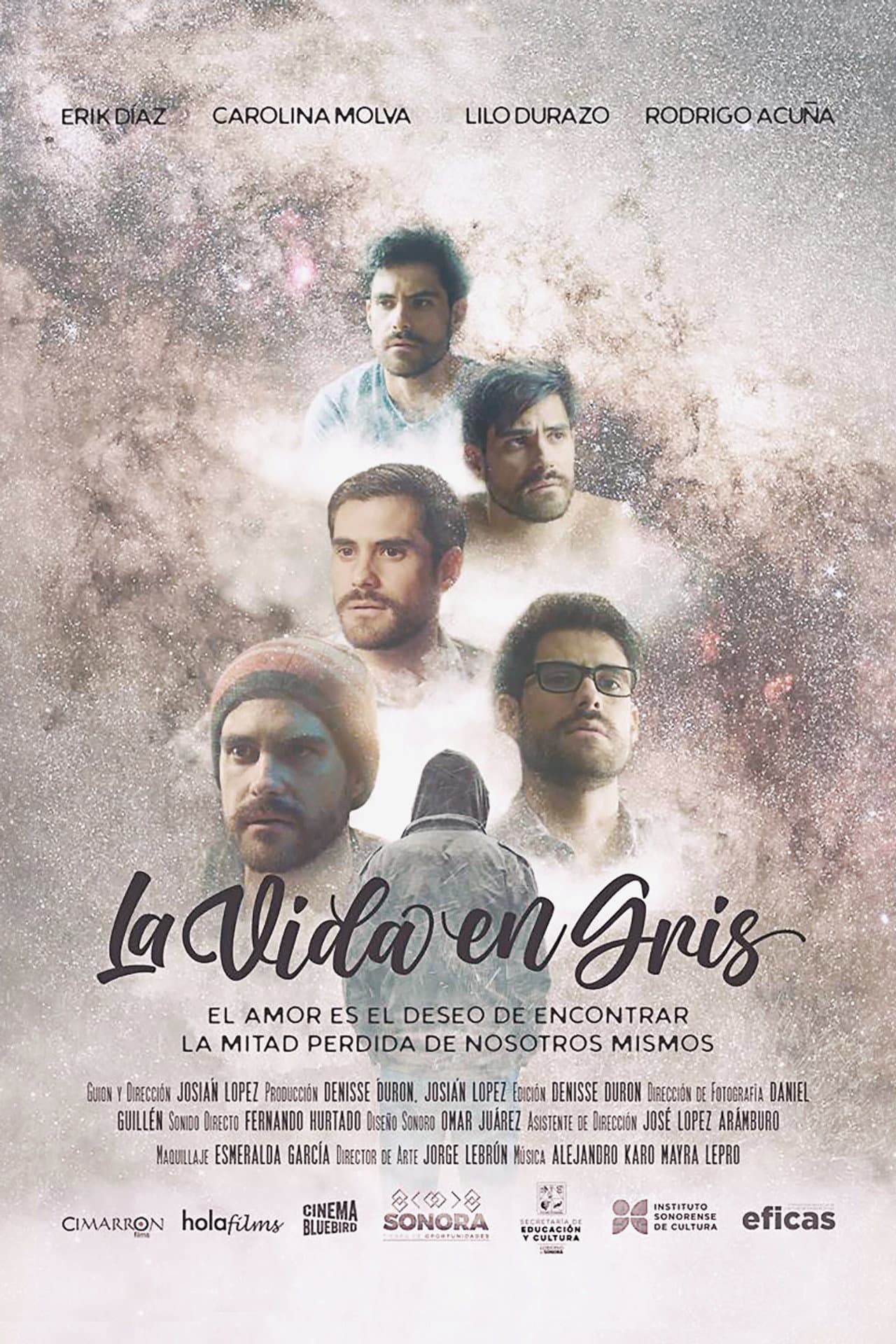 La vida en gris preview 2