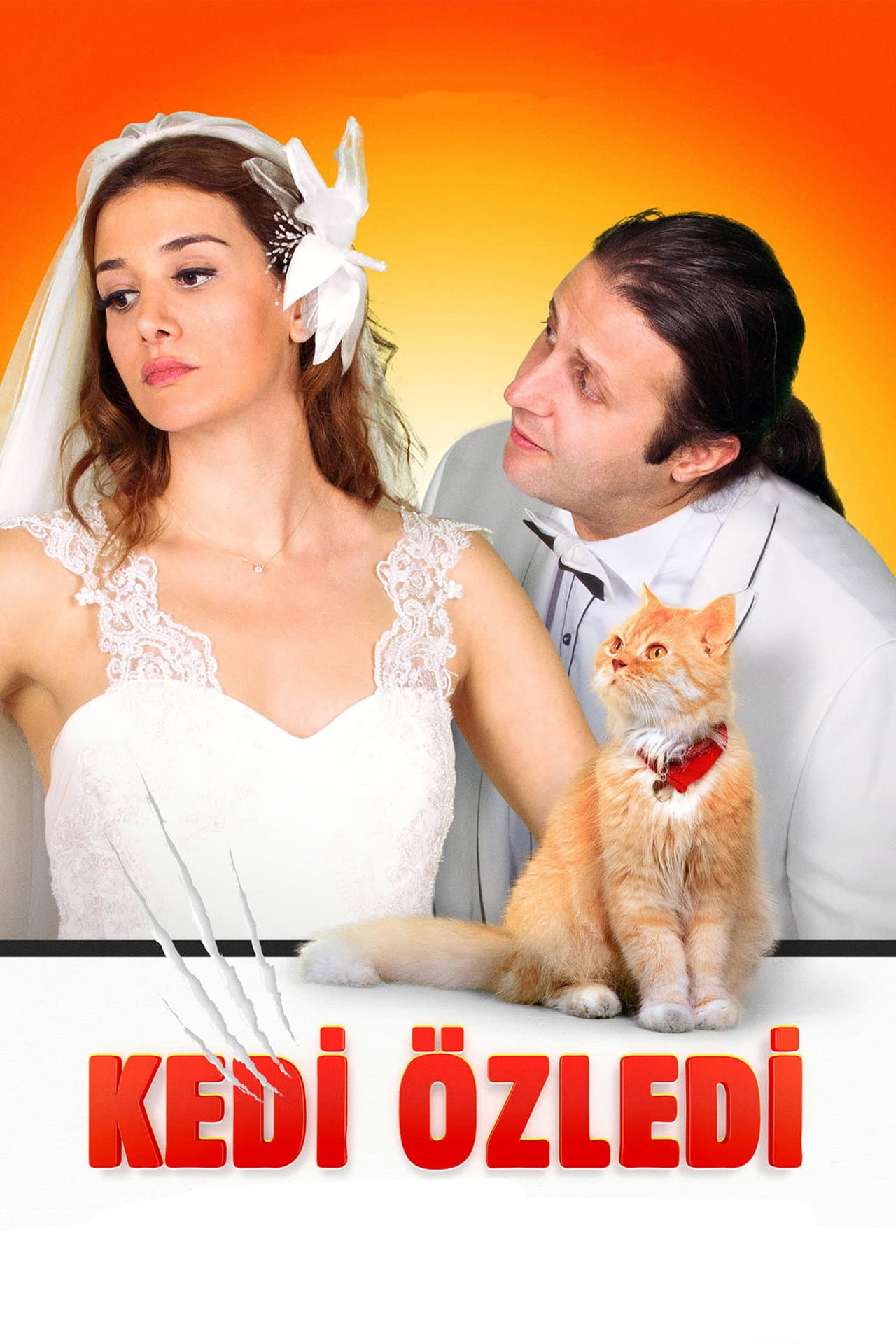 Kedi Özledi preview 1