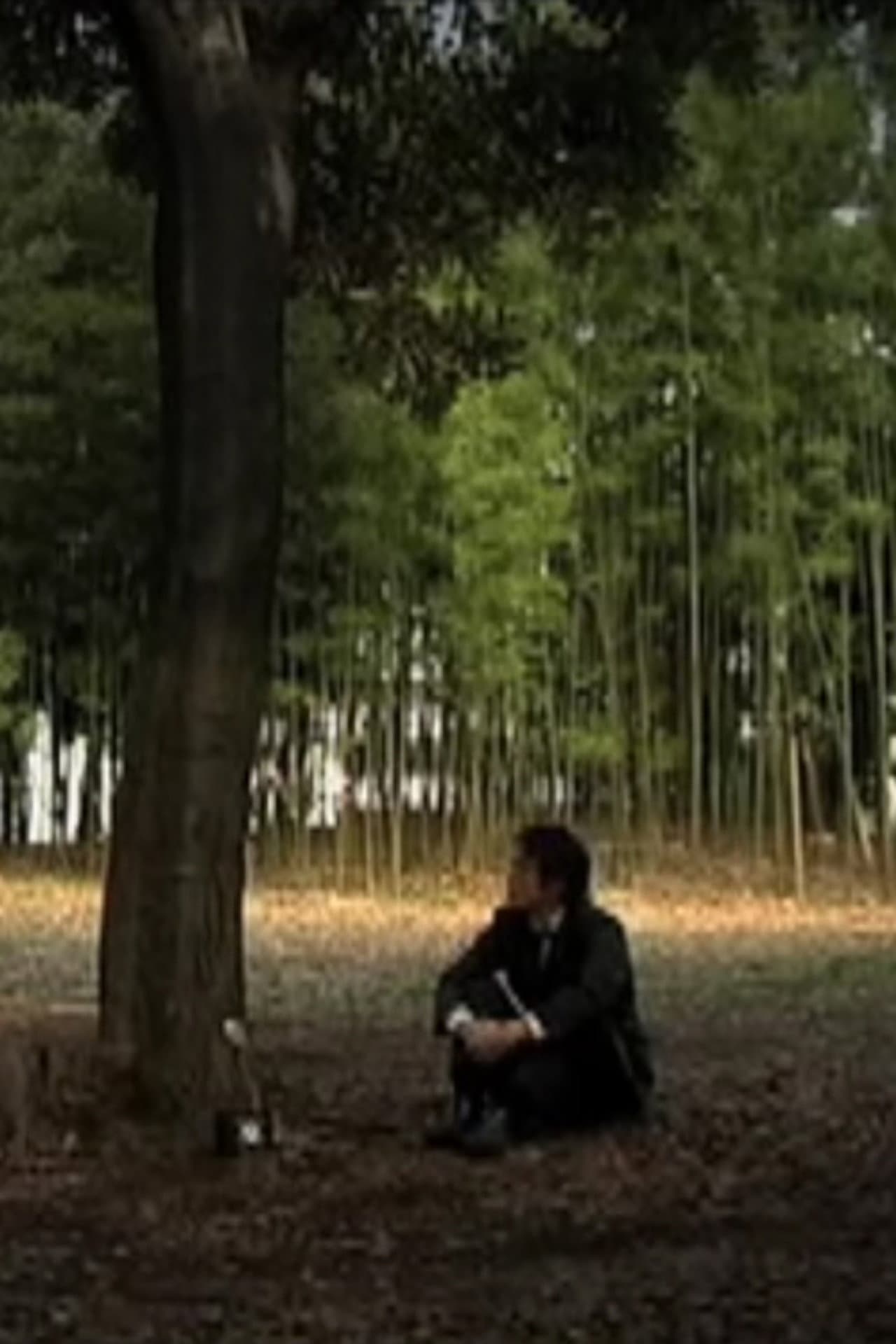 Conversation with Nature preview 2