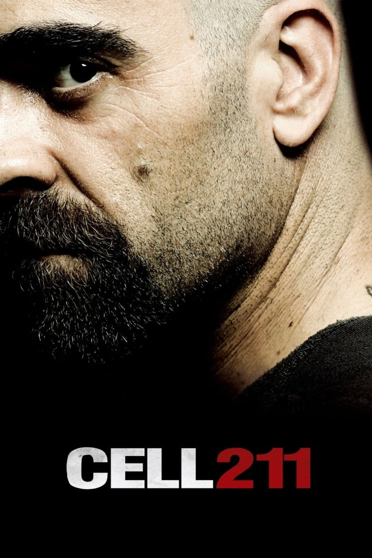 Cell 211 preview 2