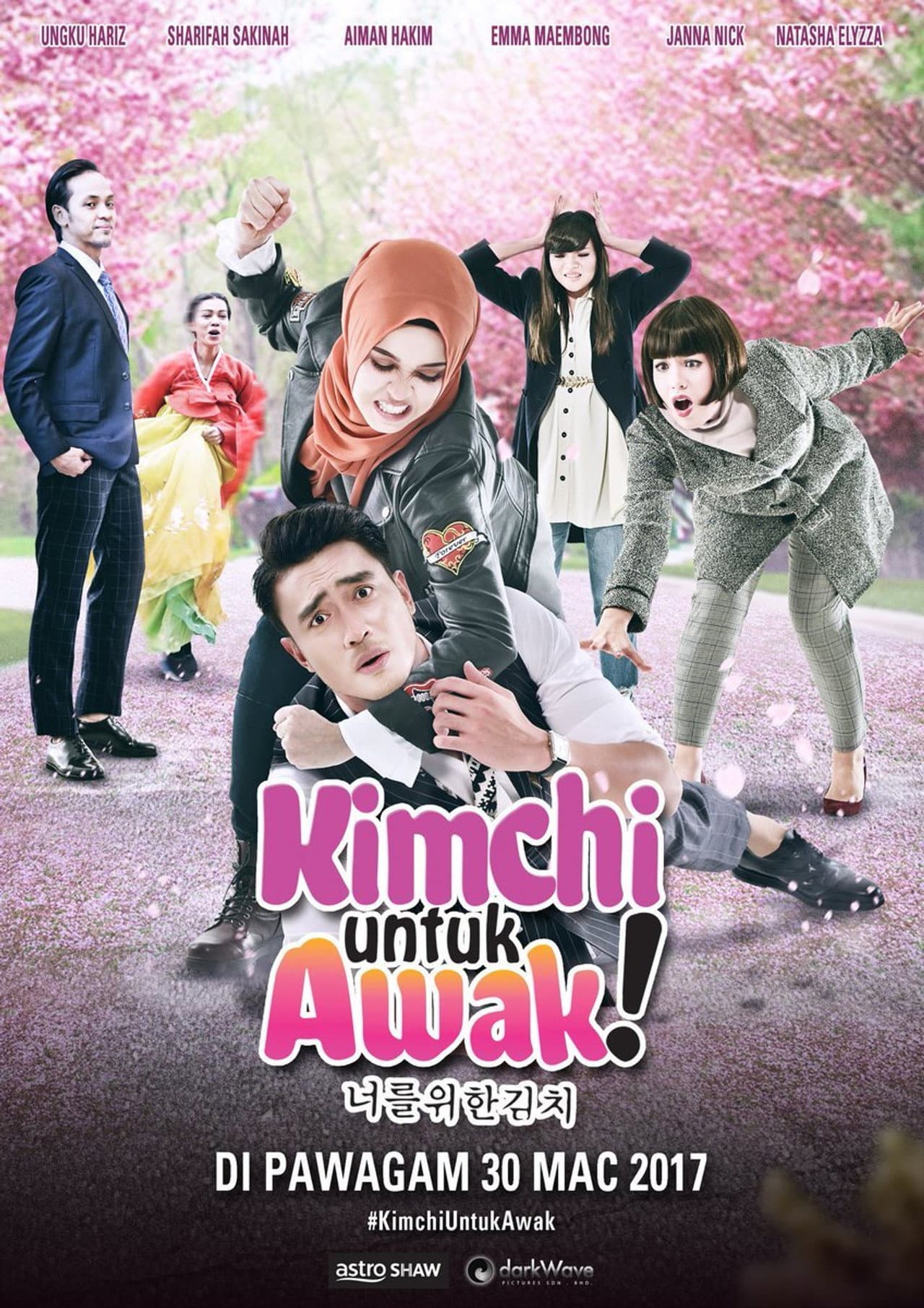 Kimchi Untuk Awak preview 2