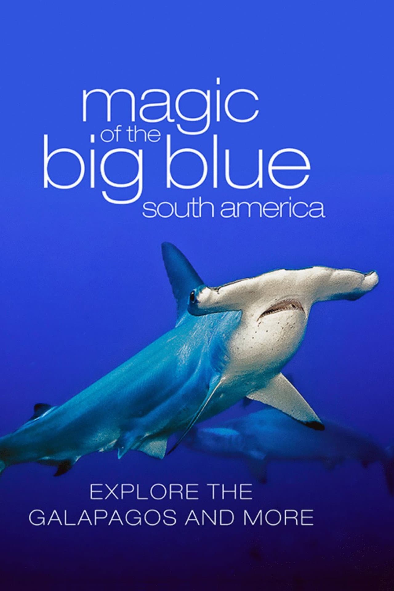 The Magic of the Big Blue. Seven Continents preview 2