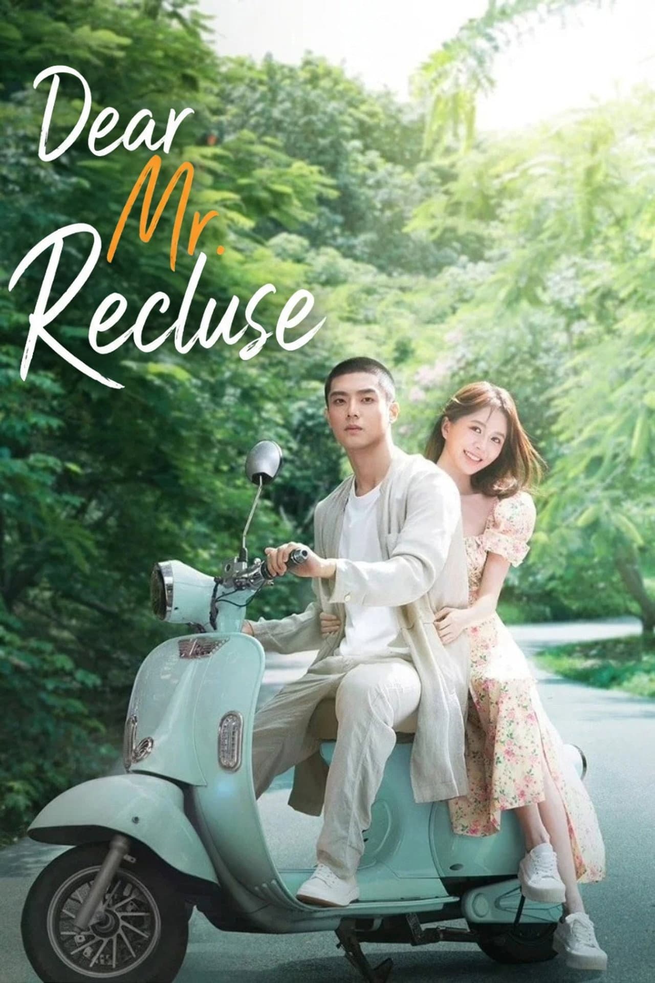 Dear Mr. Recluse preview 2