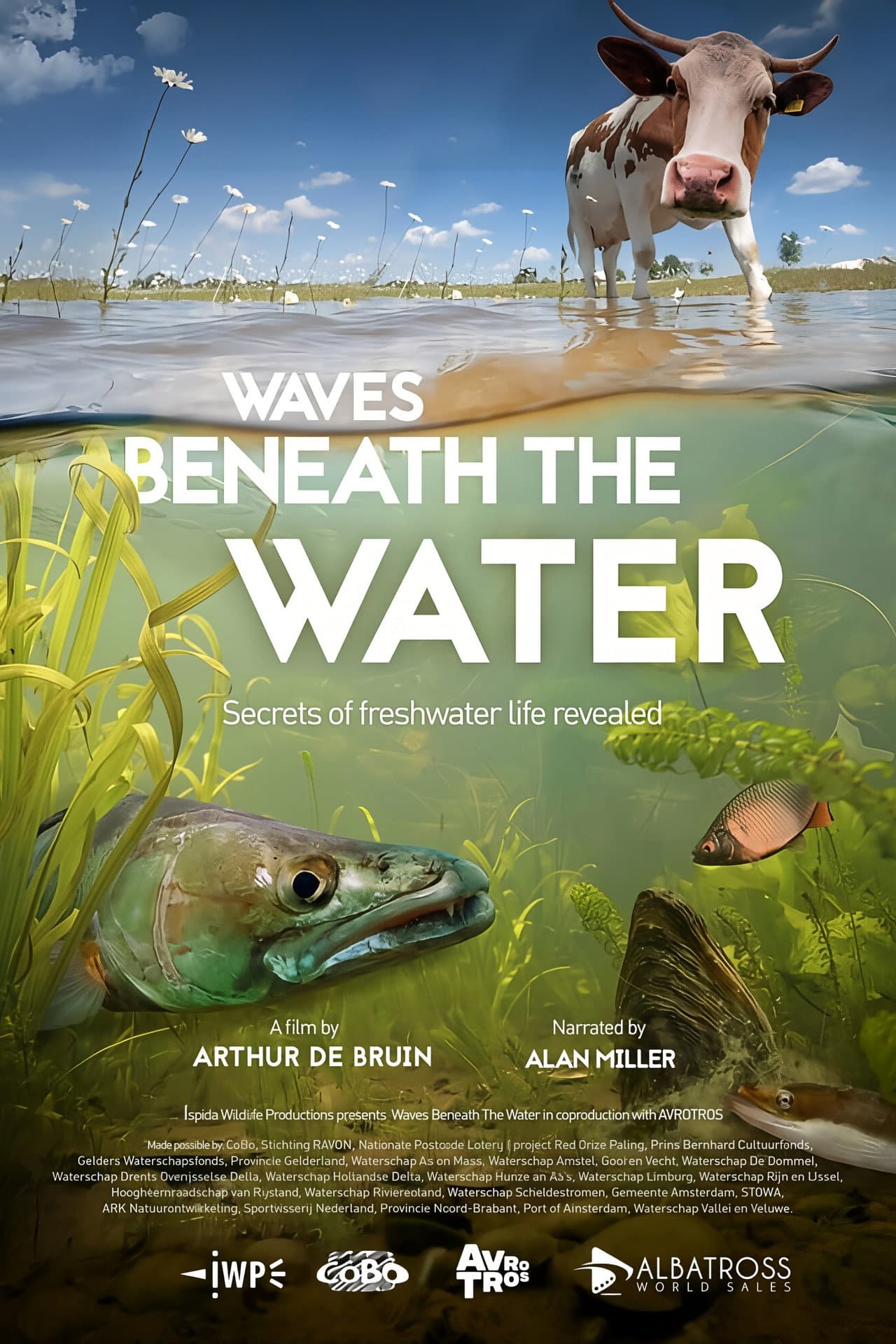 Waves Beneath The Water, Secrets of freshwater life revealed preview 2