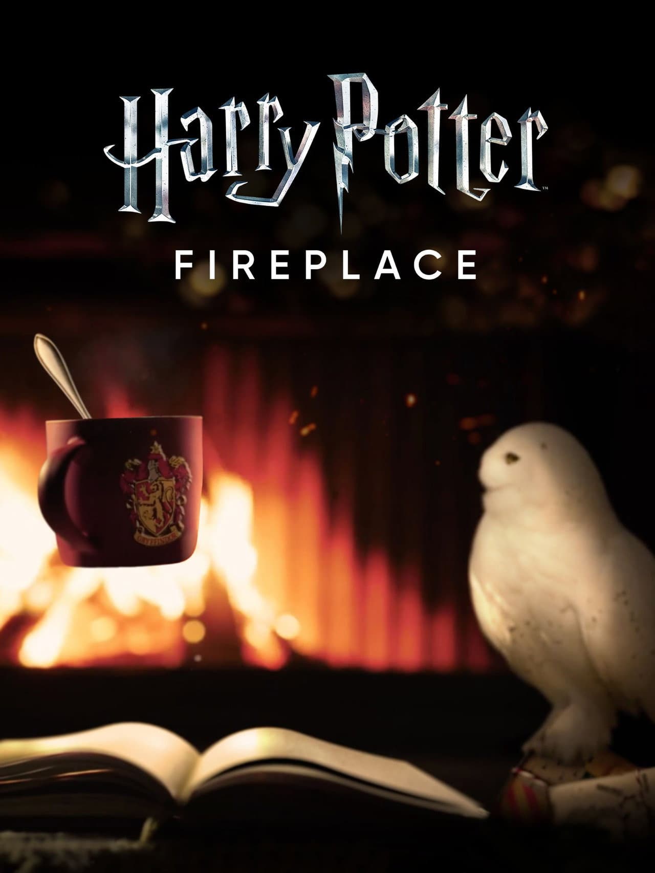 Harry Potter: Fireplace preview 2