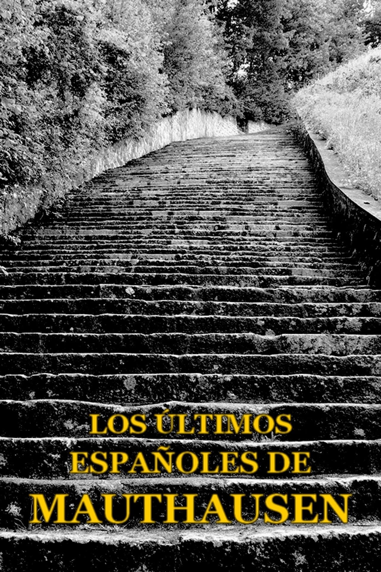 Los últimos españoles de Mauthausen preview 2