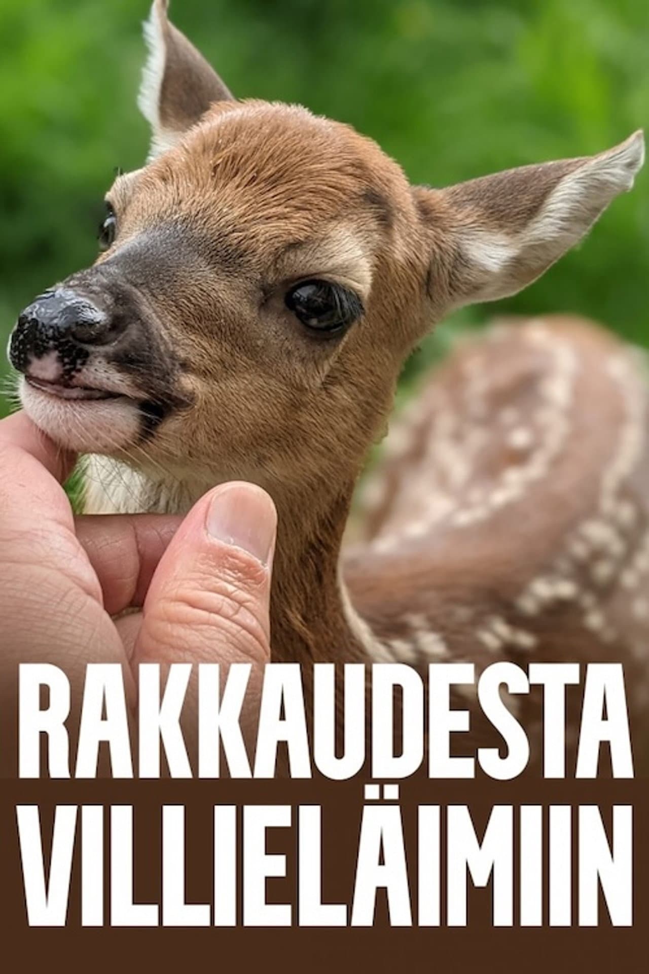 Rakkaudesta villieläimiin preview 2