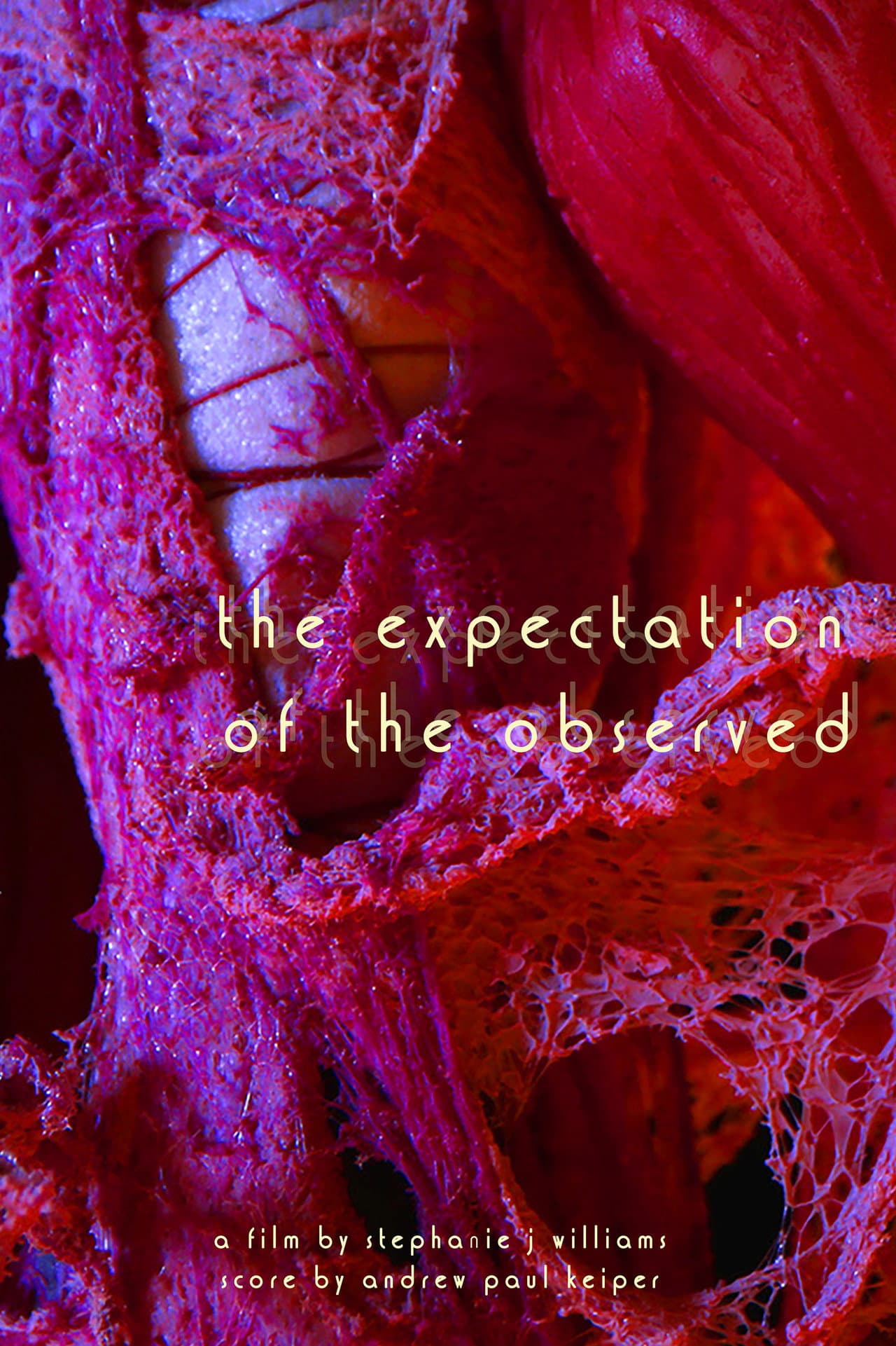 The Expectation of the Observed preview 1