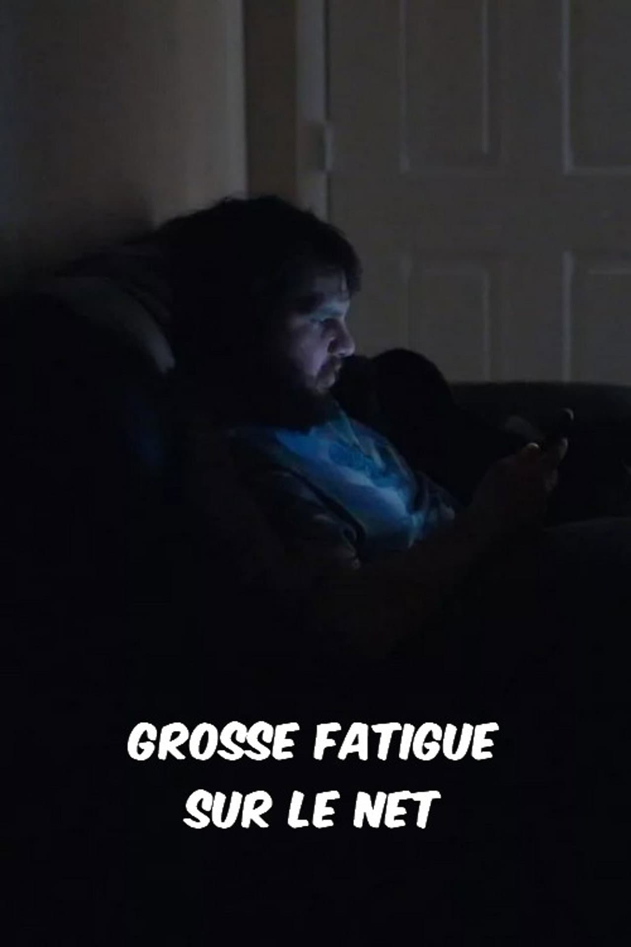 Grosse fatigue sur le Net preview 1