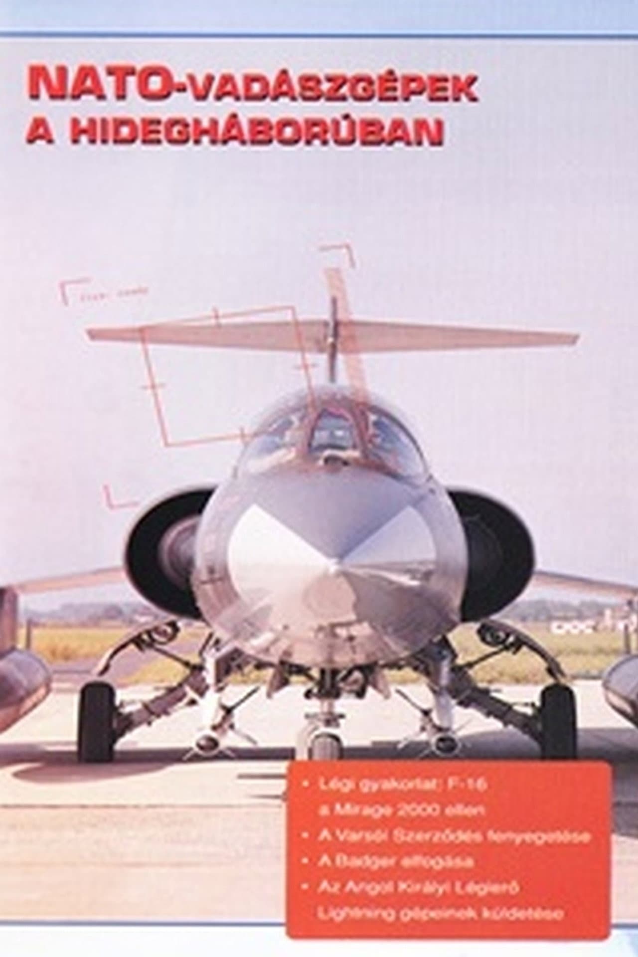 Combat in the Air - NATO Cold War Interceptors preview 1