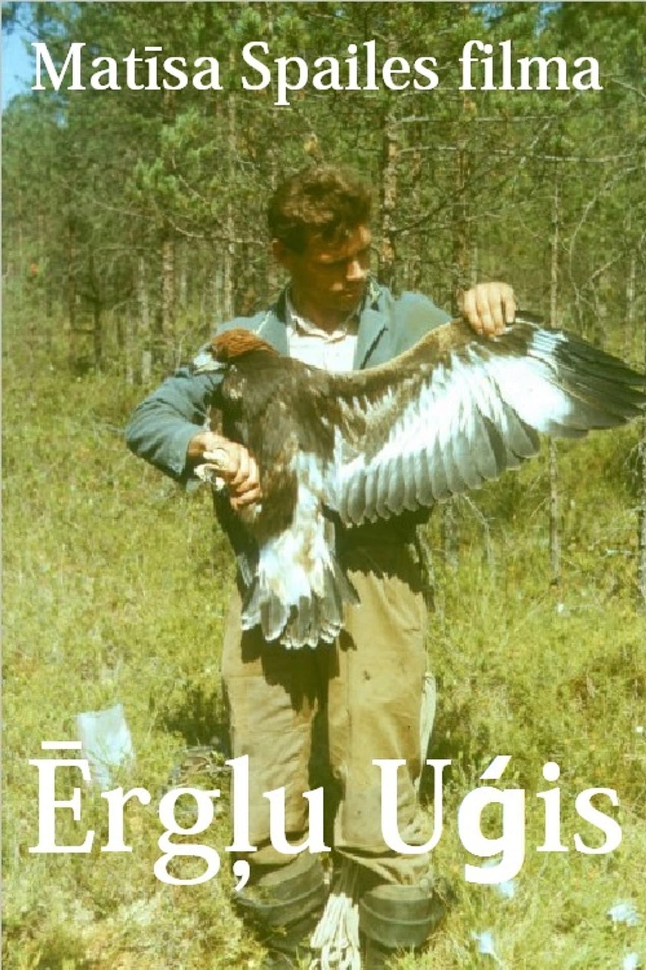 Eagle Man preview 1