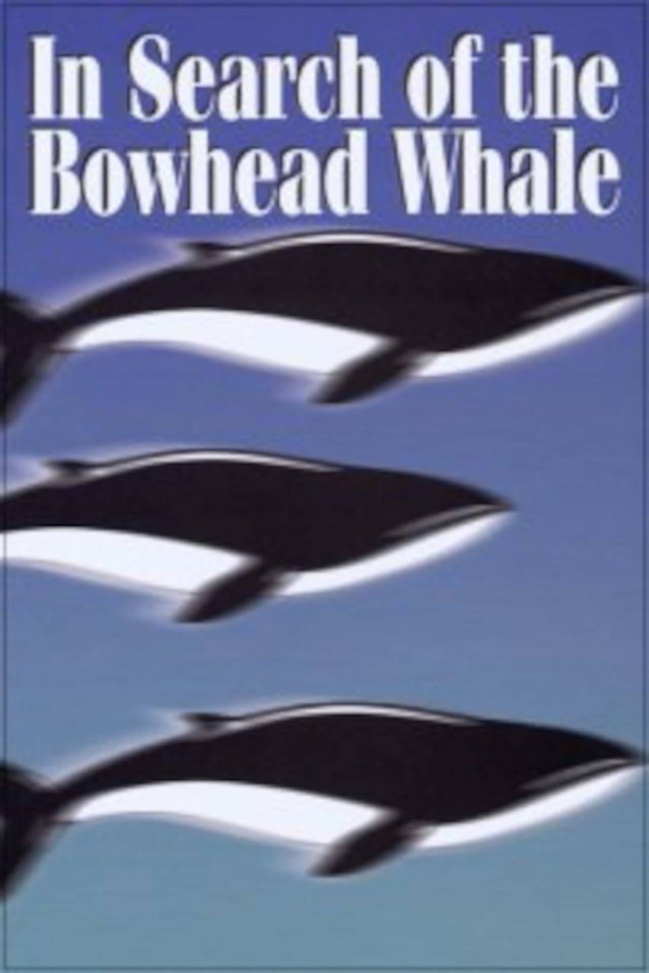 In Search of the Bowhead Whale preview 2
