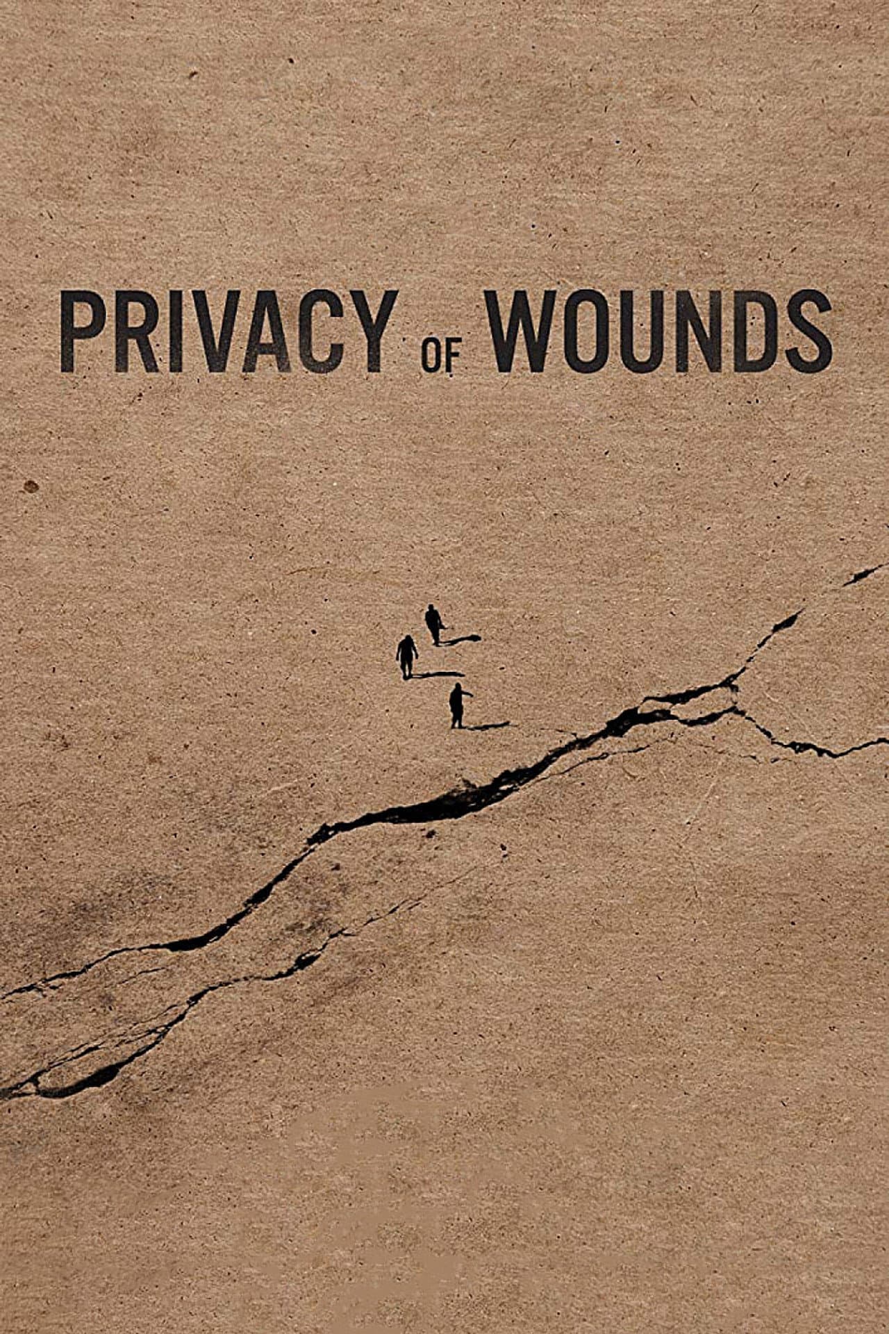 Privacy of Wounds preview 2