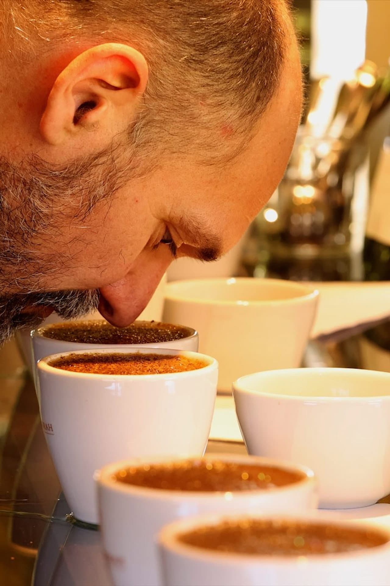 Les maîtres du café preview 2
