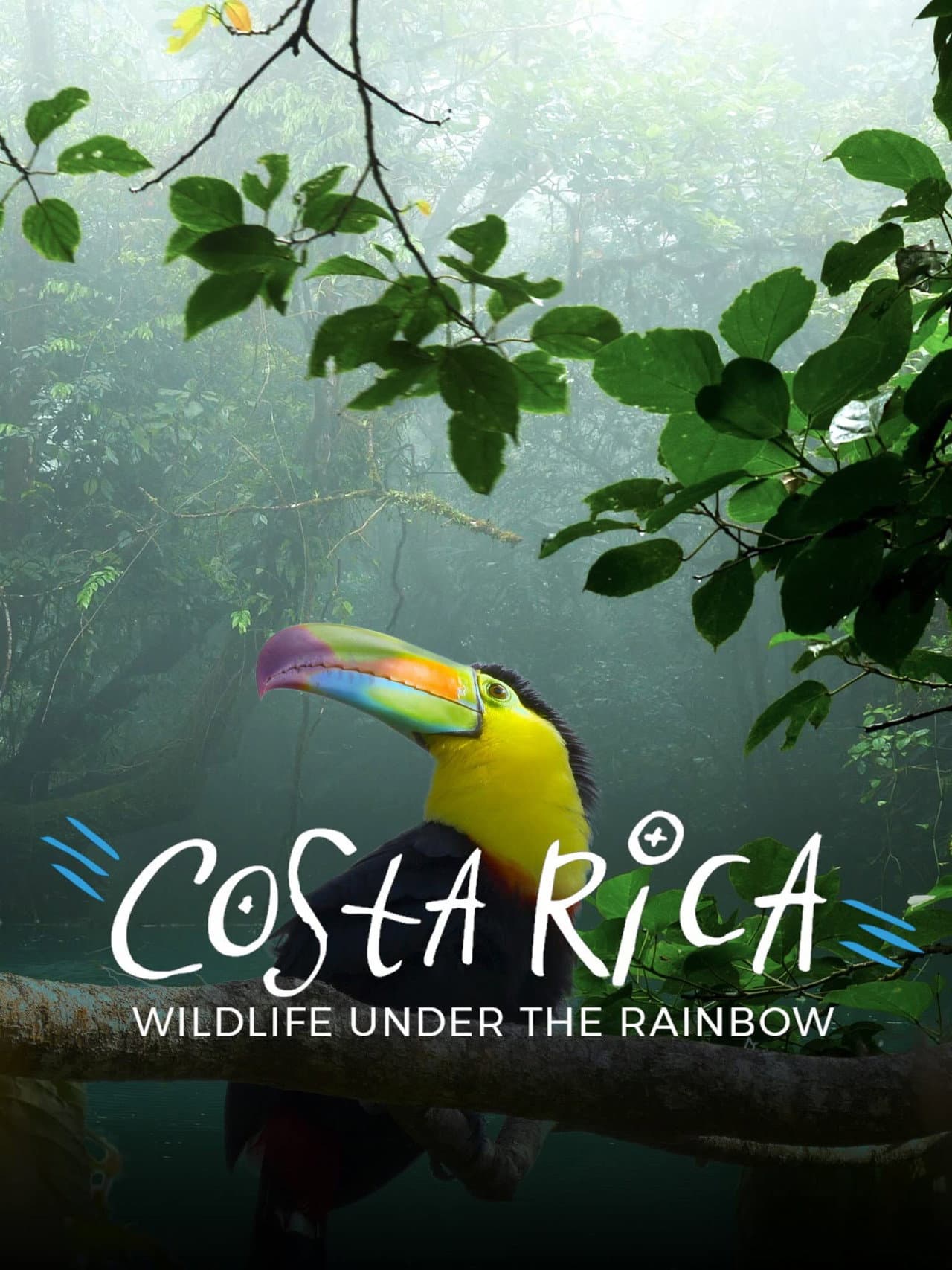 Costa Rica: Wildlife Under The Rainbow preview 1