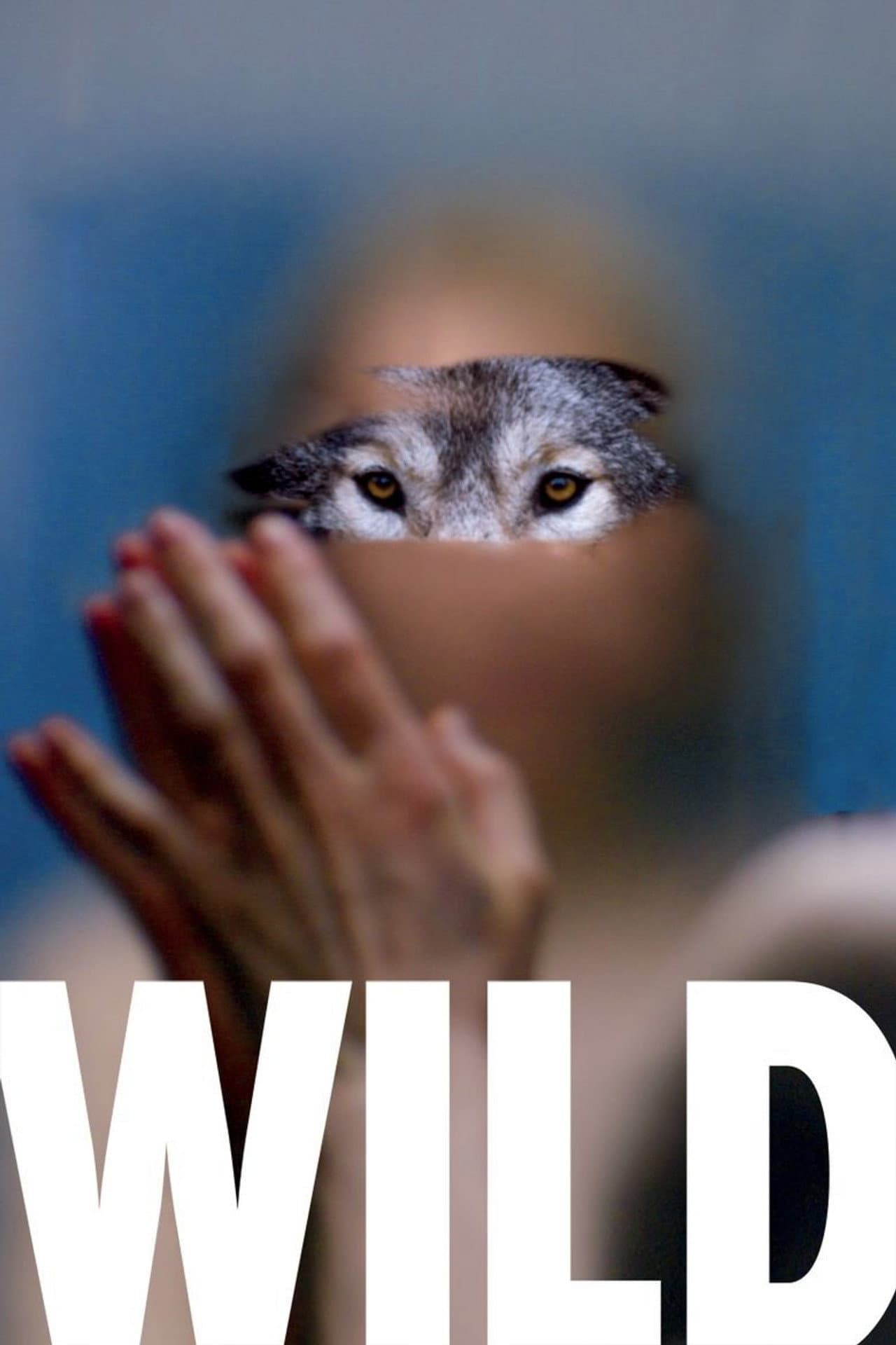 Wild preview 2