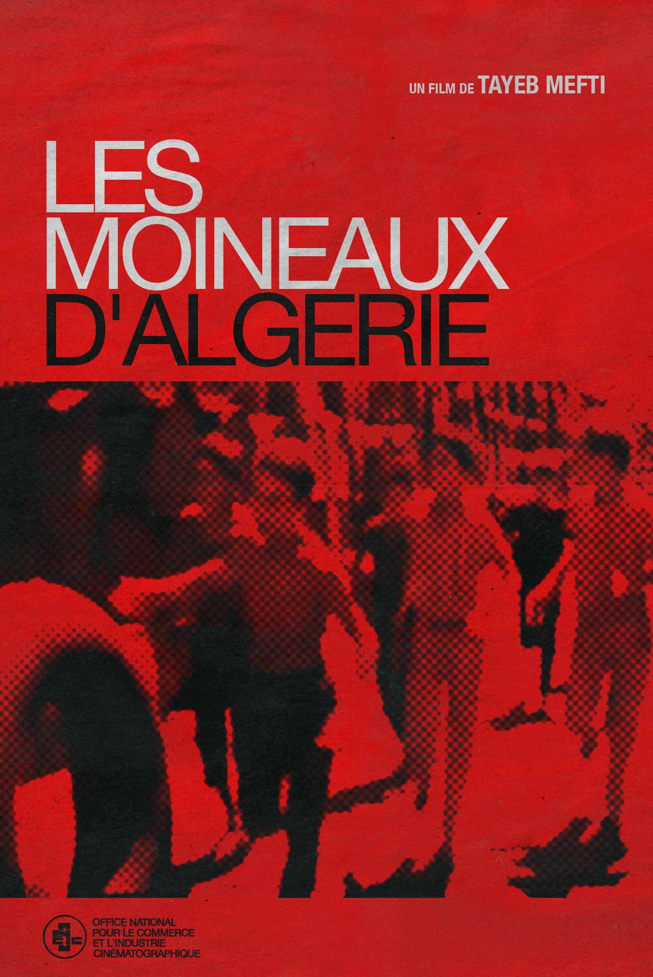 Les Moineaux d'Algérie preview 2