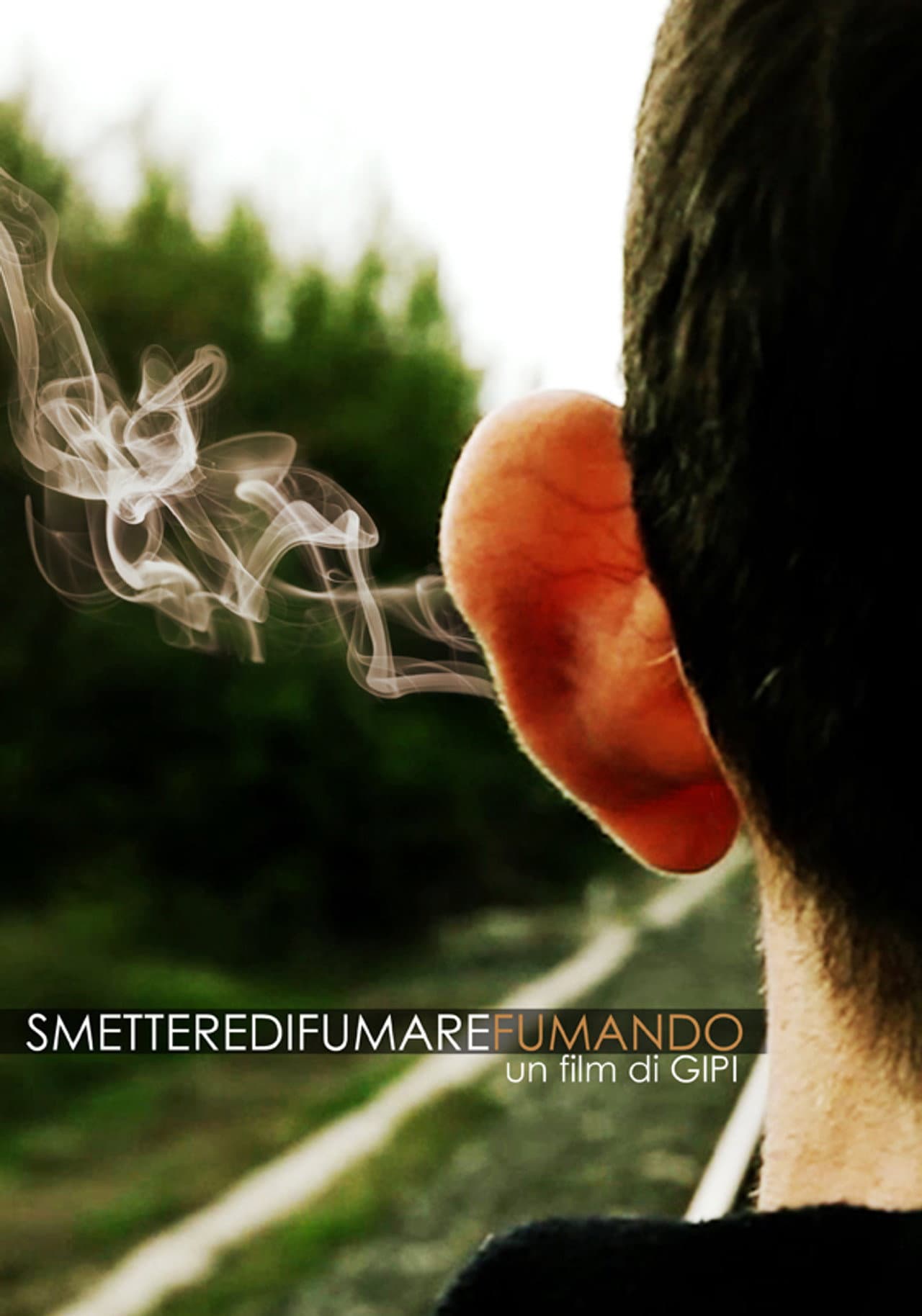 Smettere di Fumare Fumando preview 2