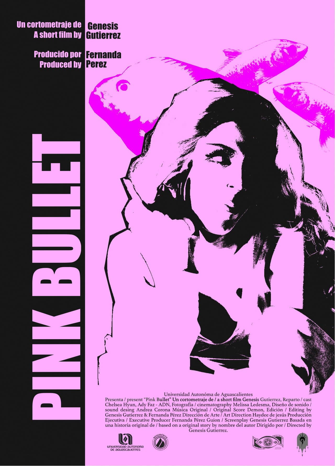 Pink Bullet preview 1