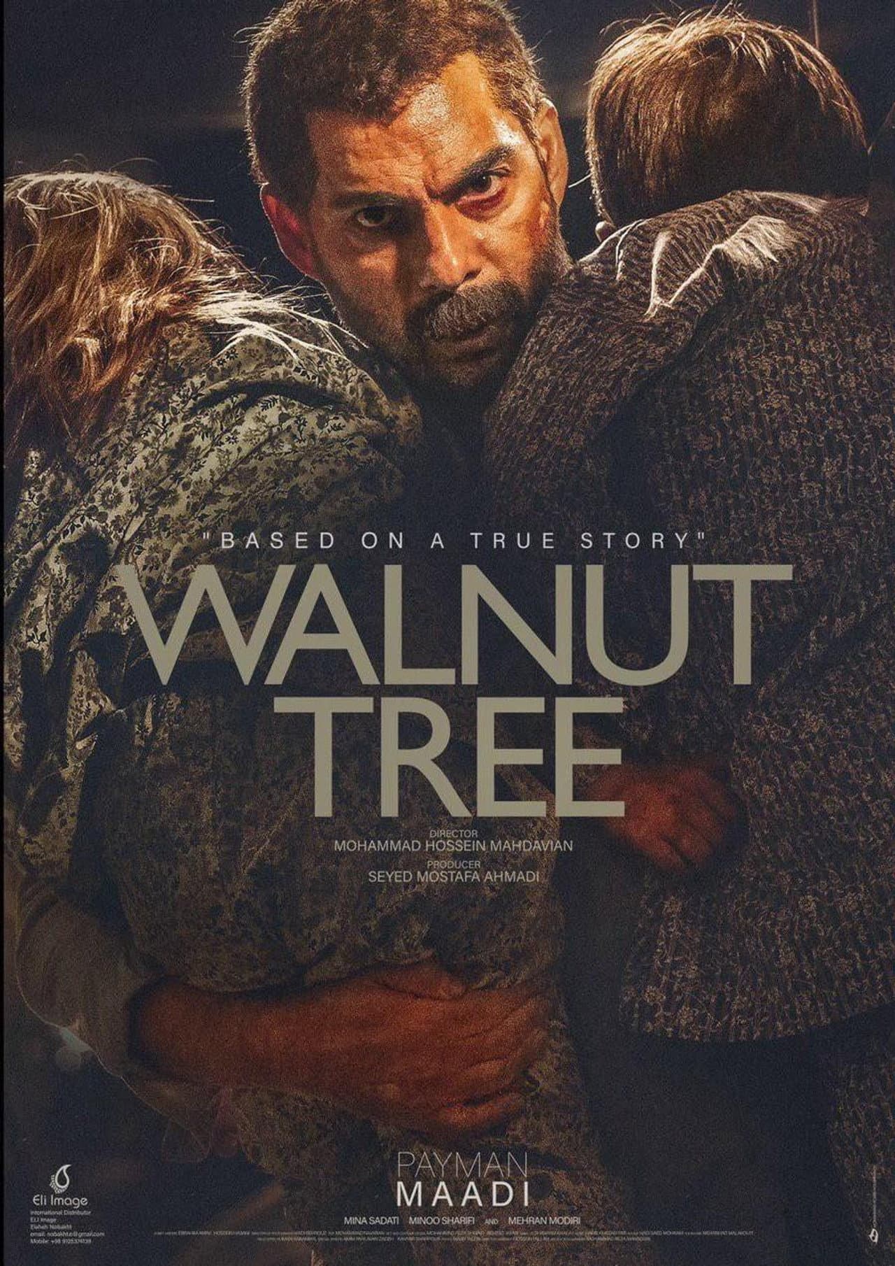 Walnut Tree preview 2