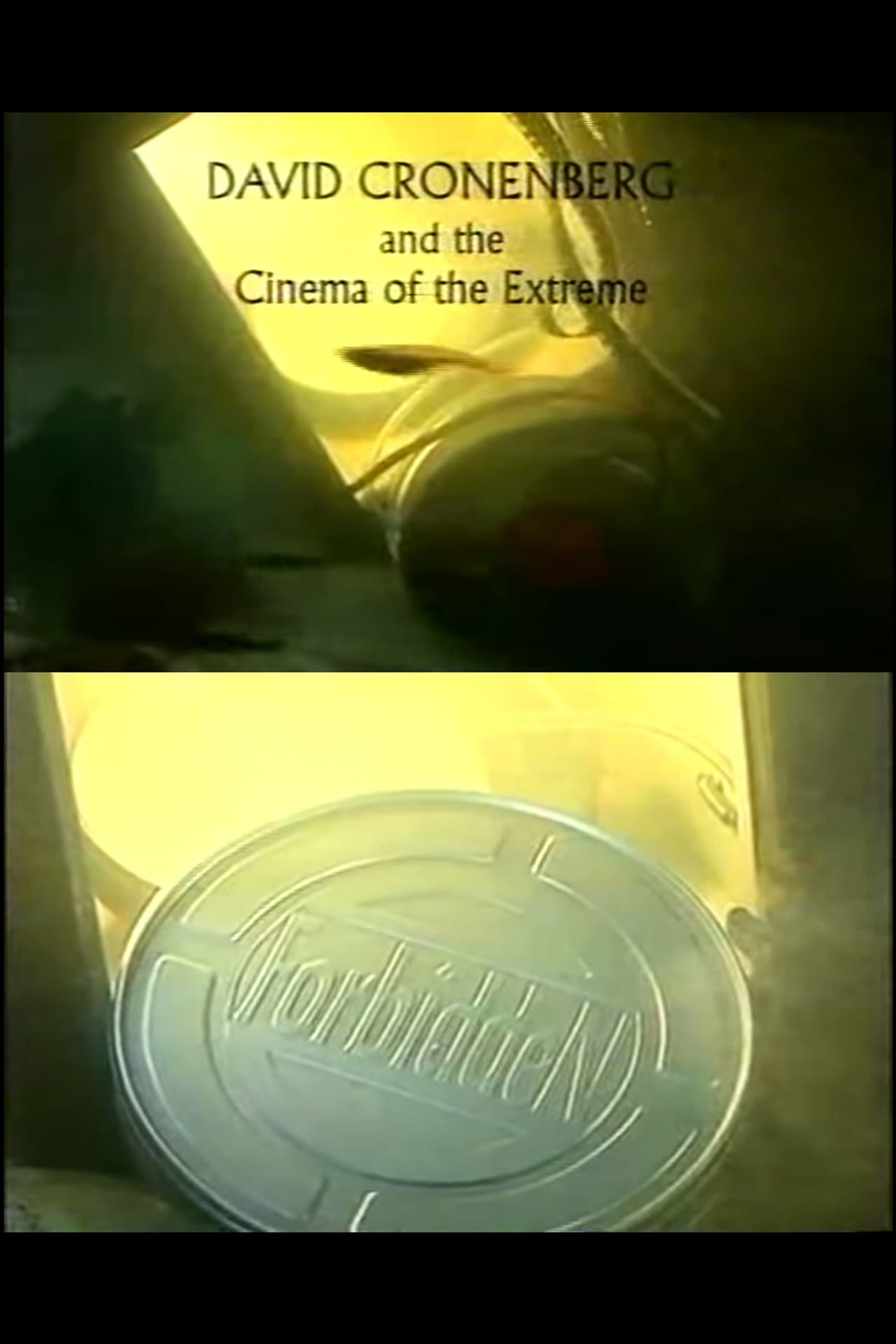 David Cronenberg and the Cinema of the Extreme preview 1