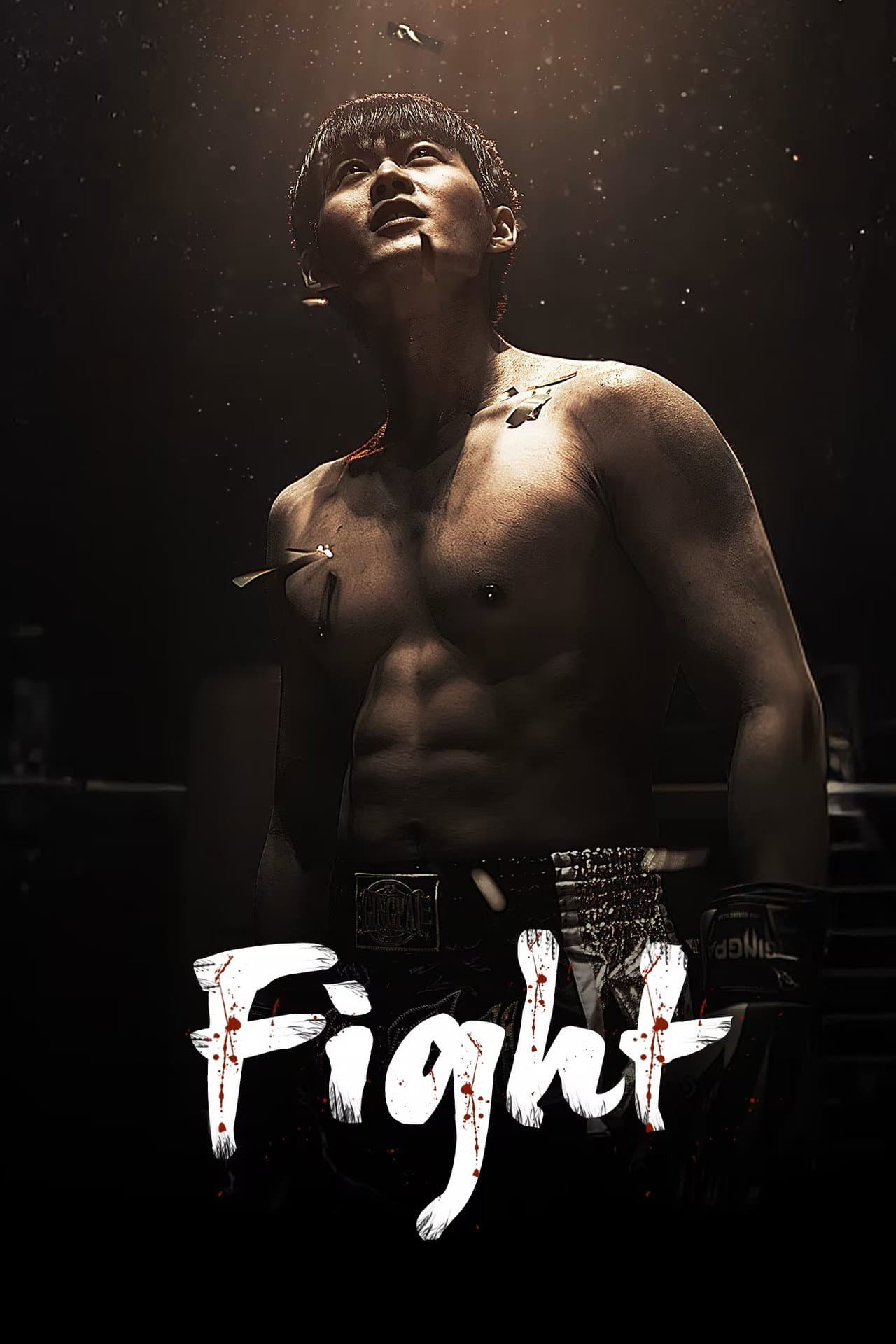Fight preview 2