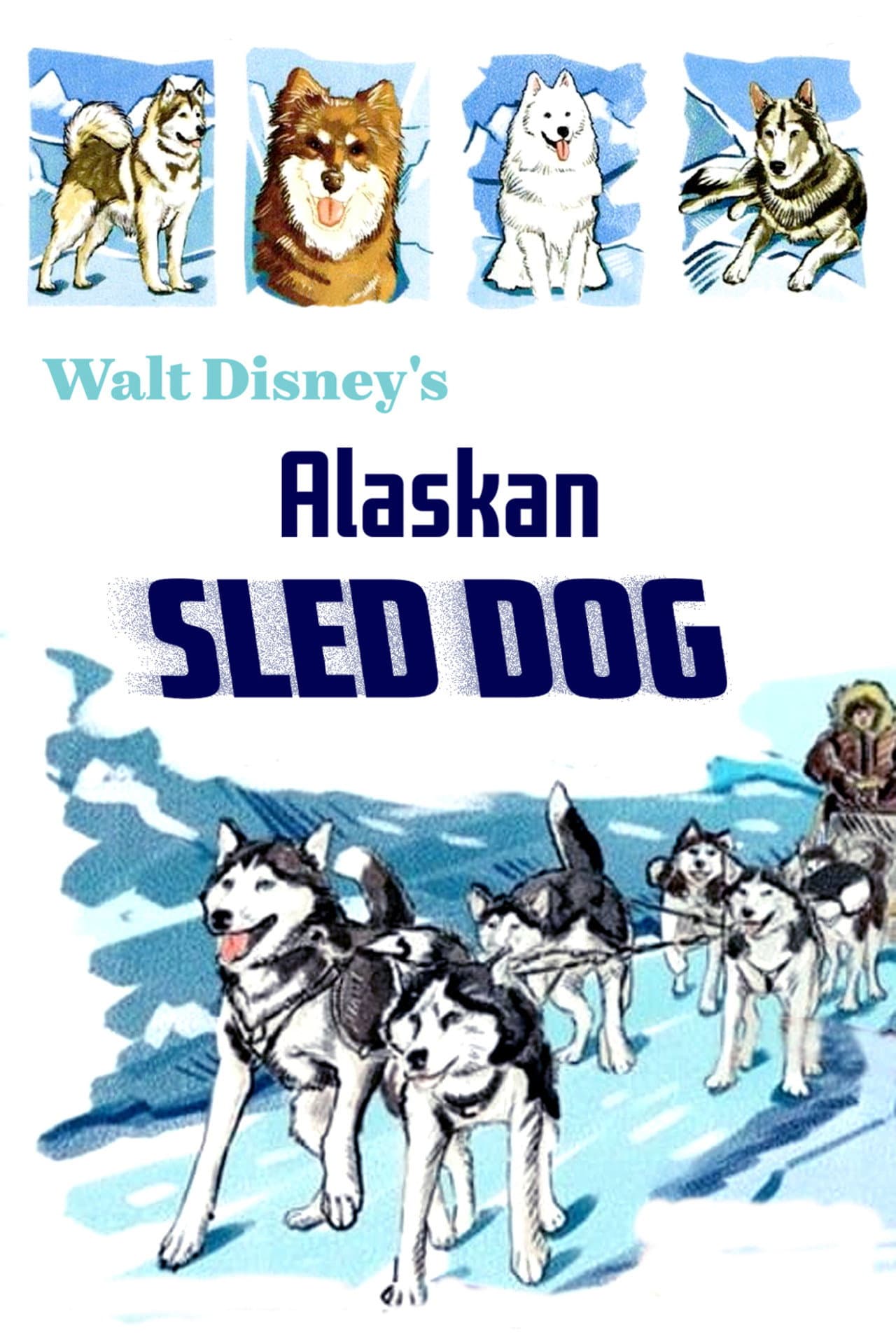 Alaskan Sled Dog preview 2