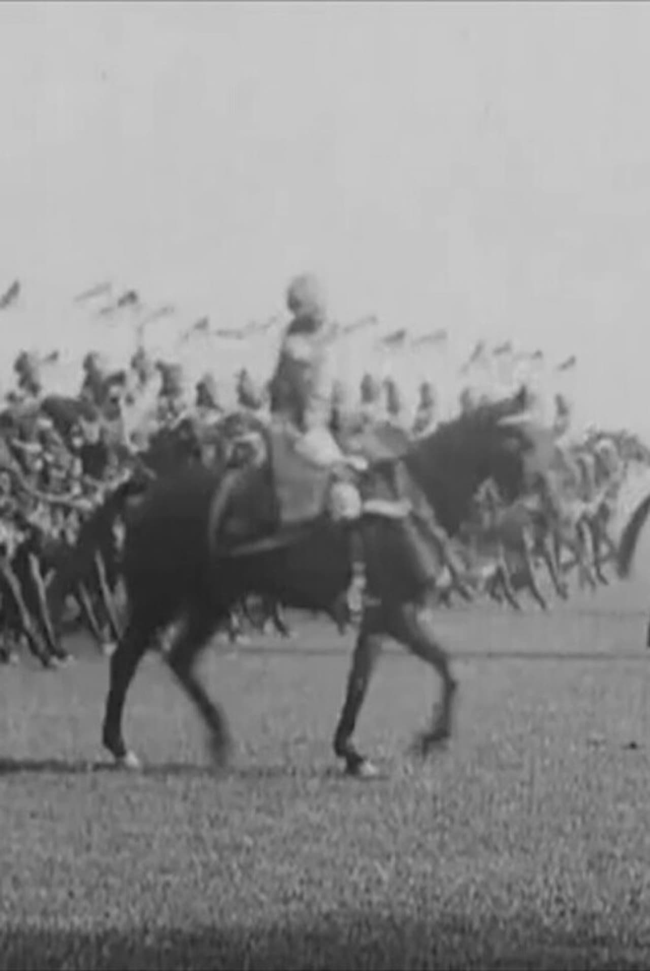 Annual Inspection of the Bodyguard by His Excellency Lord Lytton preview 2